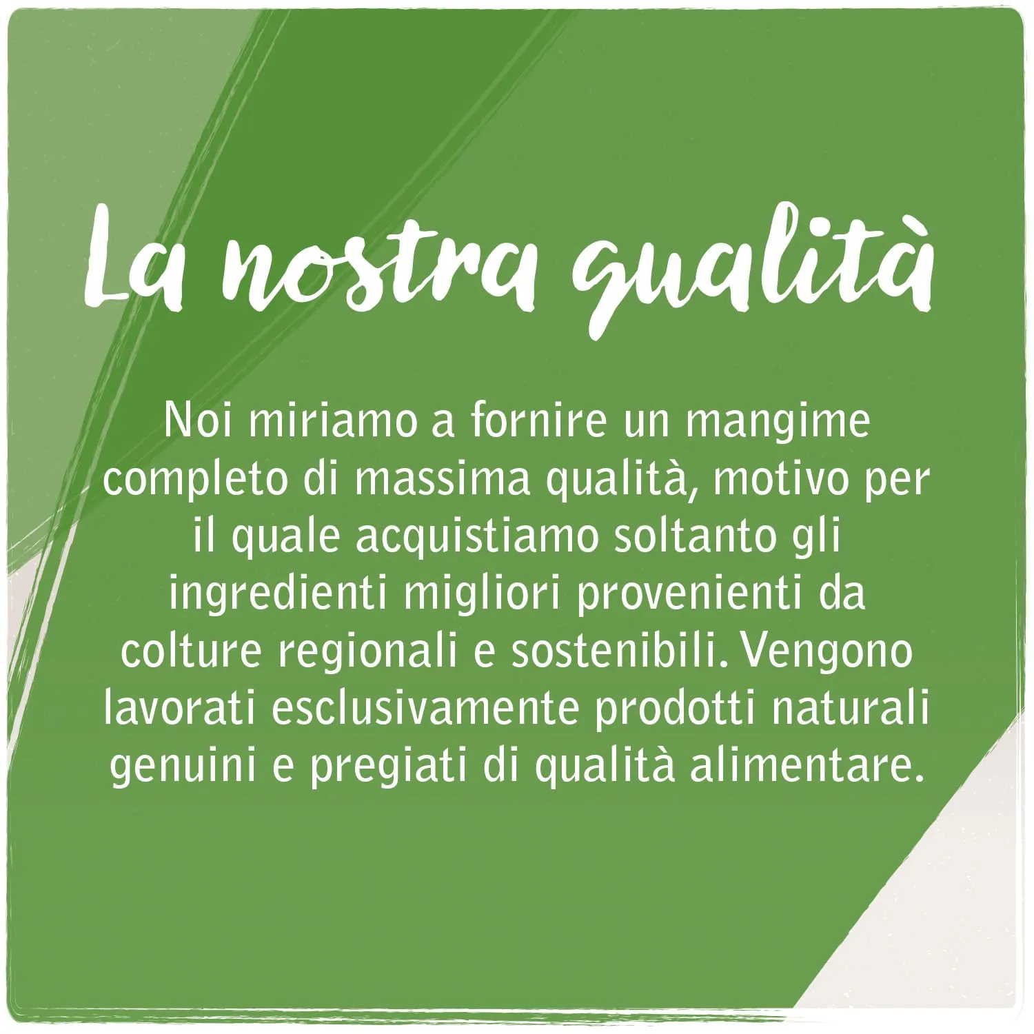 Venandi Animal Mangime per Gatti Premium Pecora Mono-Proteina Senza Cereali 6 x 200 g - immagine 2