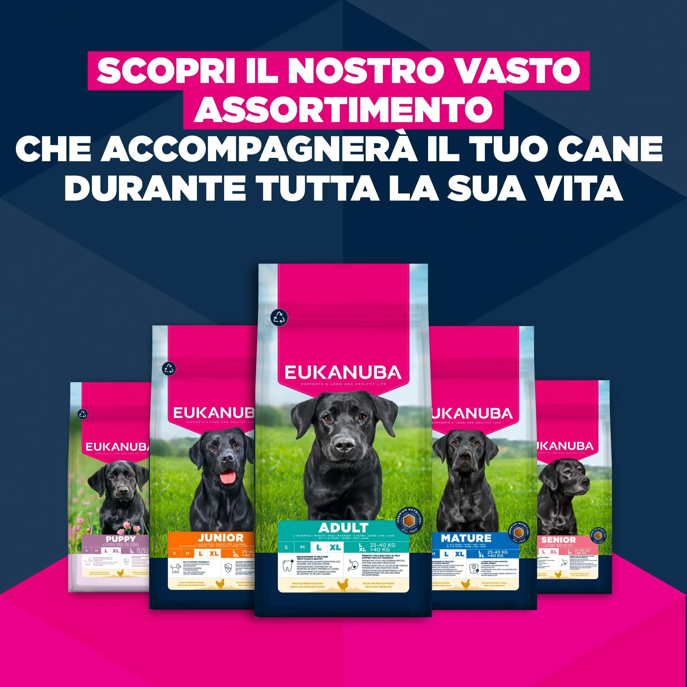 Eukanuba Crocchette per cani maturi taglia grande con pollo fresco, 15 kg - immagine 10