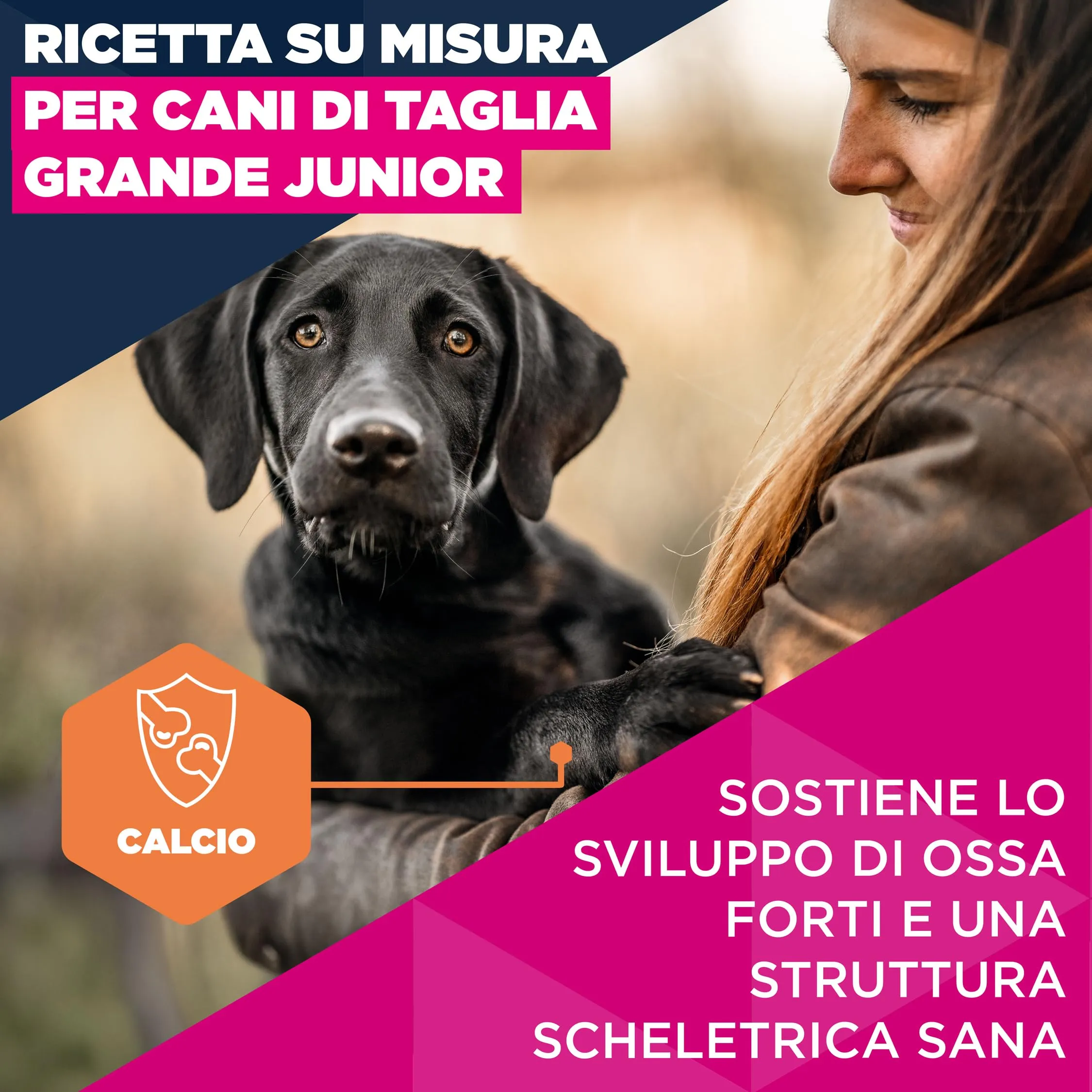 Eukanuba Crocchette per cuccioli taglia grande con pollo fresco, 15 kg - immagine 3