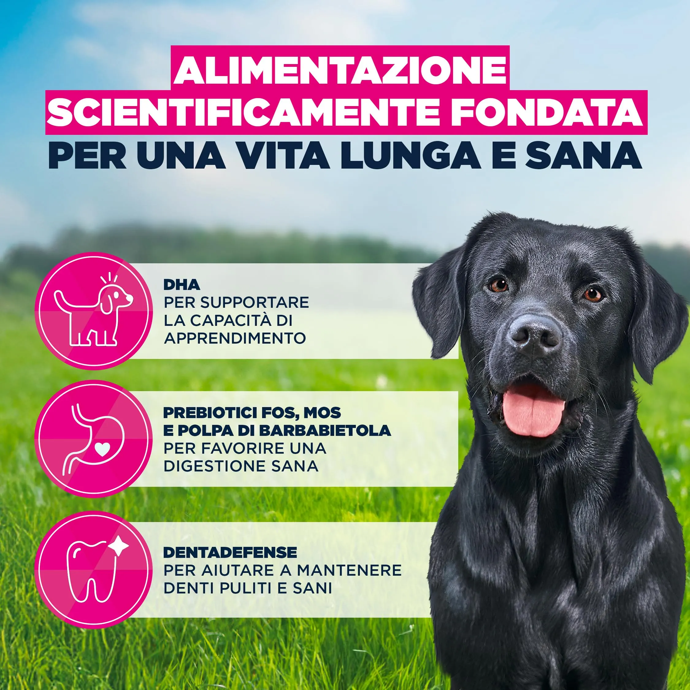 Eukanuba Crocchette per cuccioli taglia grande con pollo fresco, 15 kg - immagine 5
