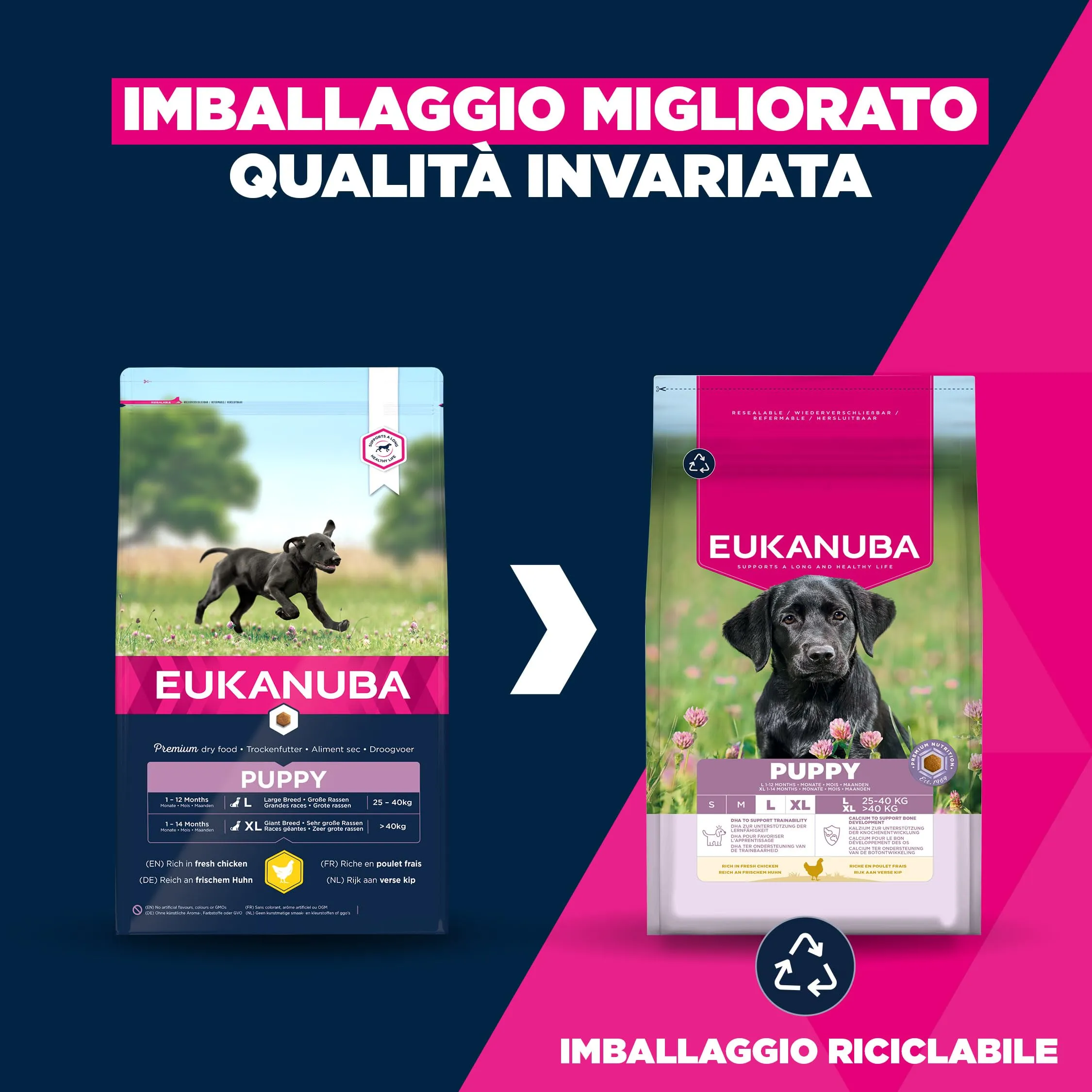 Eukanuba Crocchette per cuccioli taglia grande con pollo fresco, 3 kg - immagine 2
