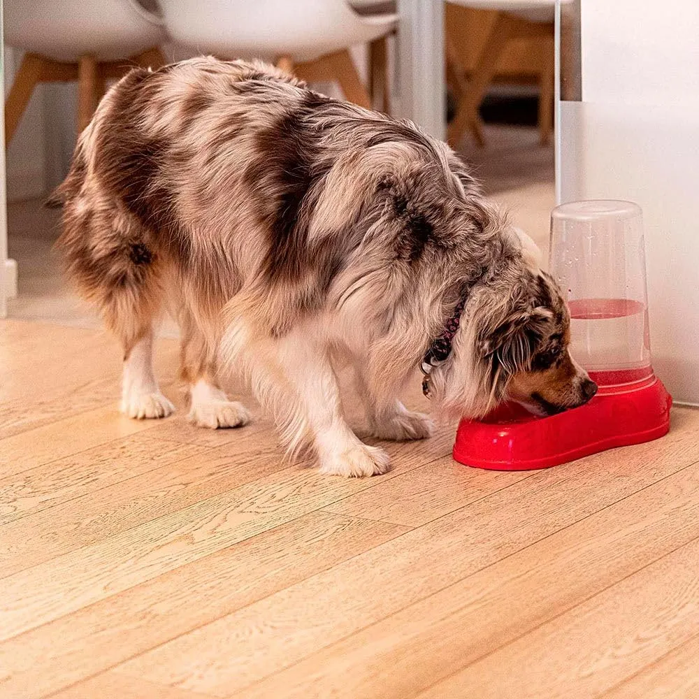 Ferplast Azimut Distributore di Acqua e Cibo per Cani e Gatti, 3L, Lilla - immagine 3