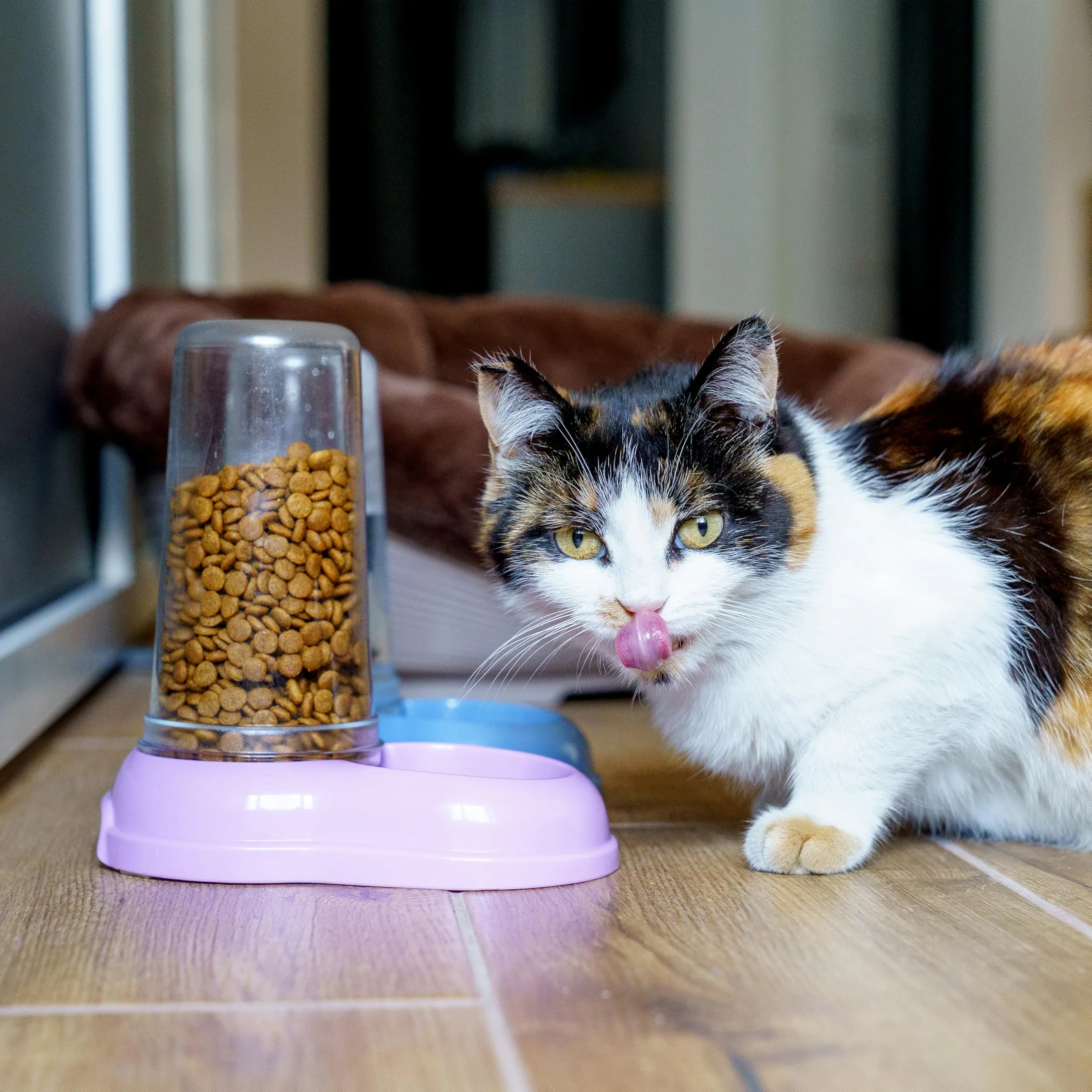 Ferplast Azimut 600 Distributore Cibo e Acqua per Cani e Gatti, 0,6 Litri, Bianco - immagine 8