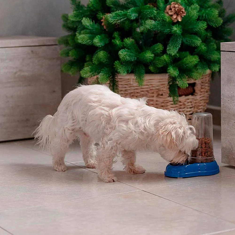 Ferplast Azimut 600 Distributore Cibo e Acqua per Cani e Gatti, 0,6 Litri, Blu - immagine 3
