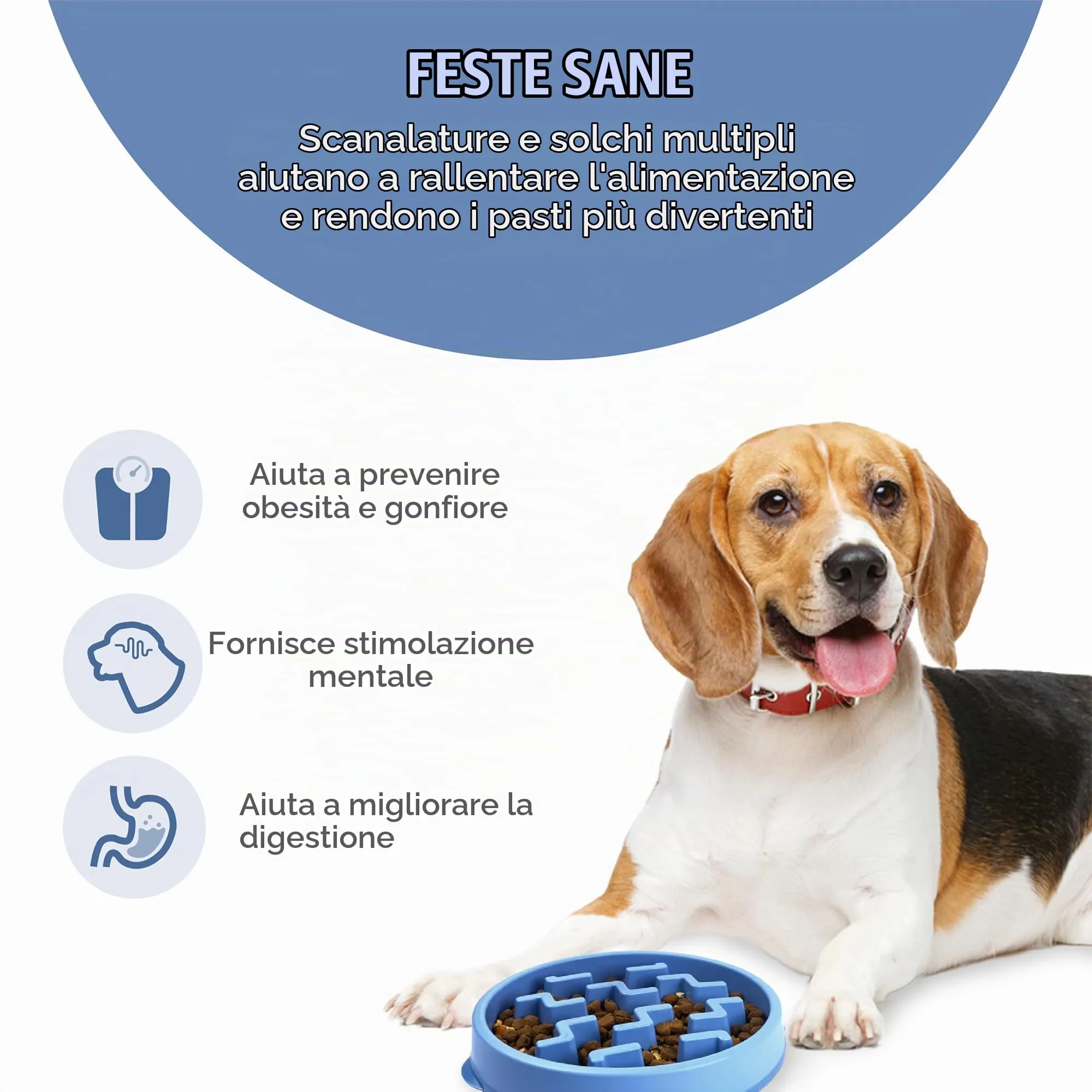 Outward Hound Fun Feeder Slo-Bowl Ciotola Anti-Ingozzamento per Cani, Medio, Blu - immagine 2