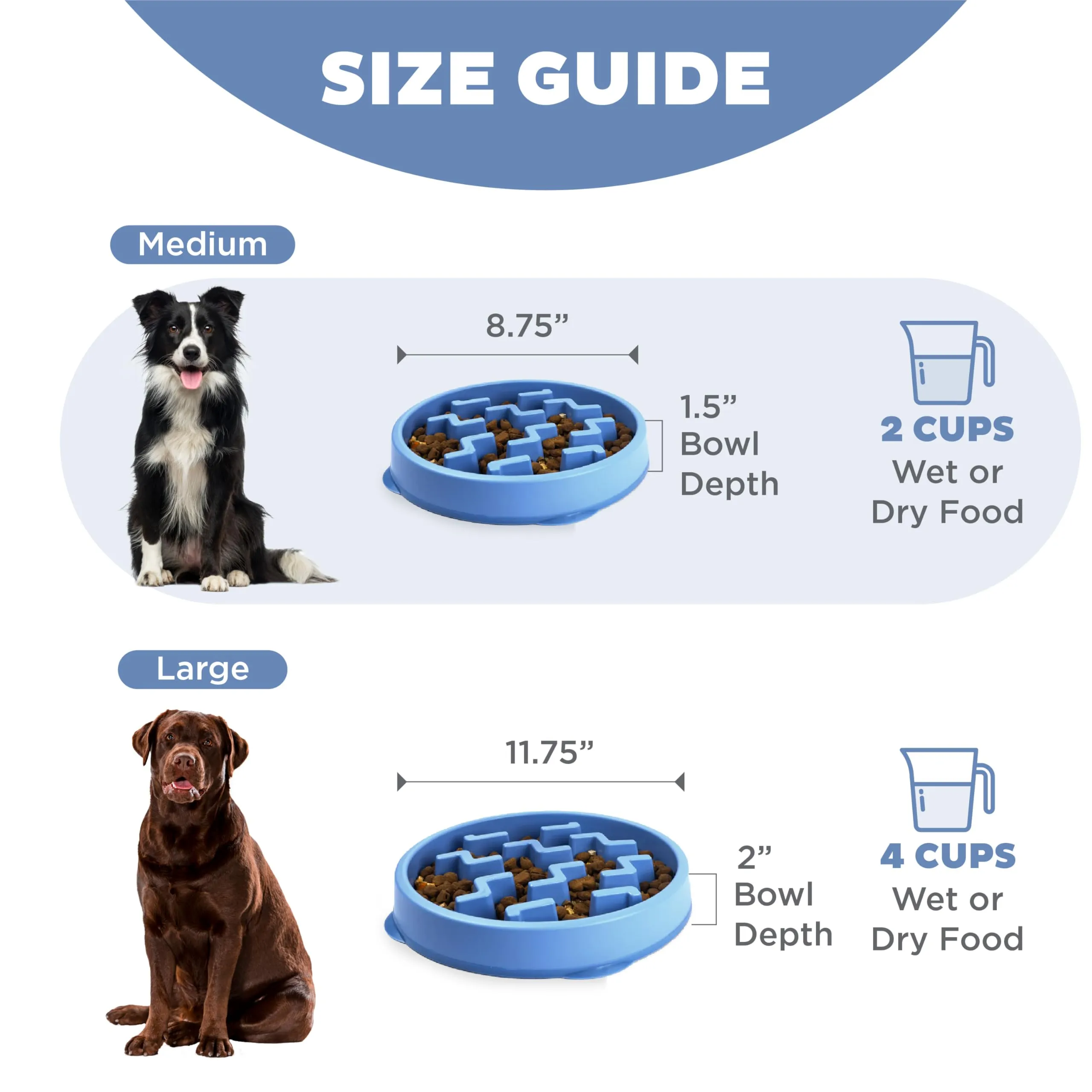 Outward Hound Fun Feeder Slo-Bowl Ciotola Anti-Ingozzamento per Cani, Medio, Blu - immagine 5