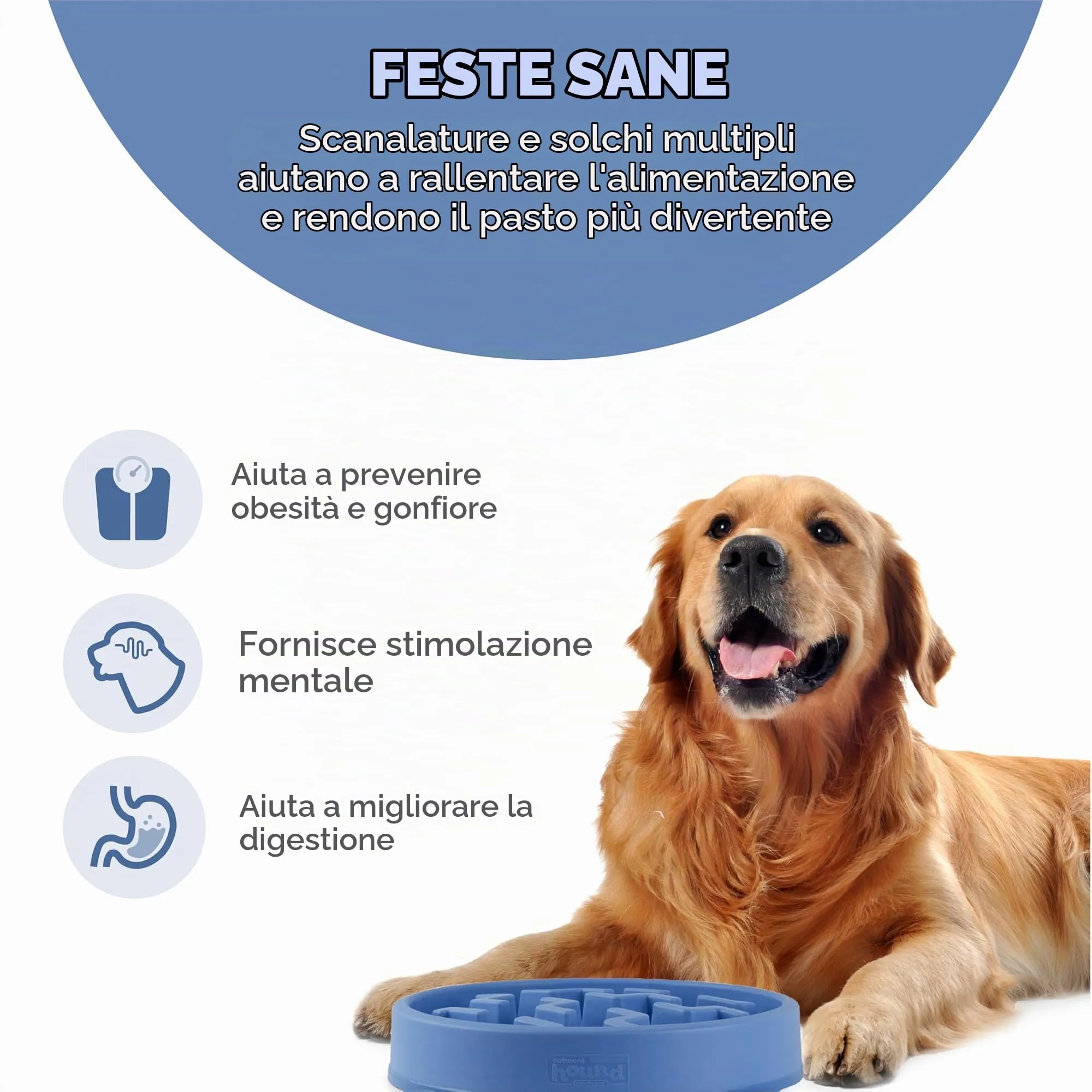 Outward Hound Fun Feeder Slo-Bowl Ciotola Anti-Ingozzamento per Cani, Grande, Blu - immagine 2