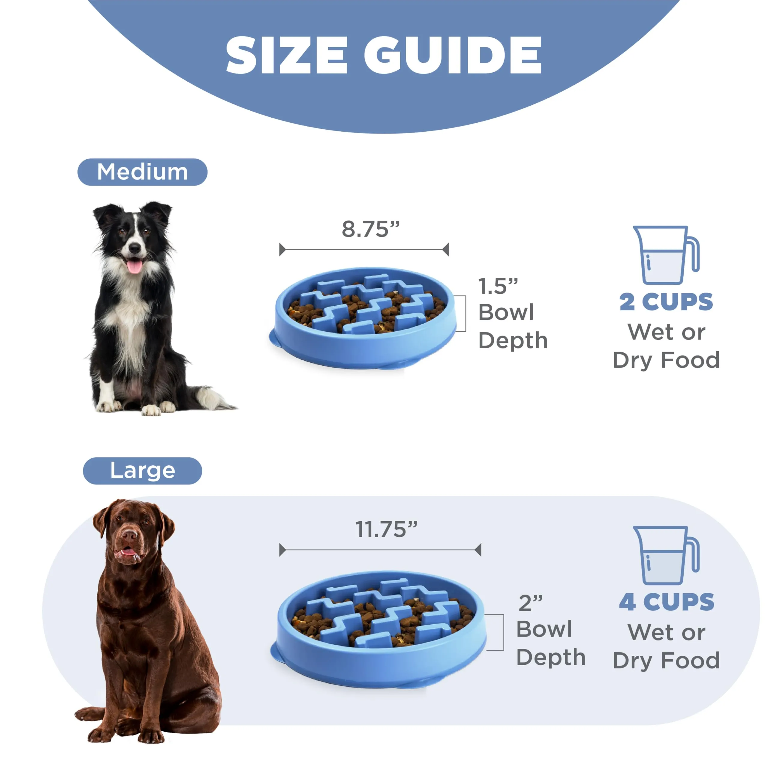 Outward Hound Fun Feeder Slo-Bowl Ciotola Anti-Ingozzamento per Cani, Grande, Blu - immagine 5