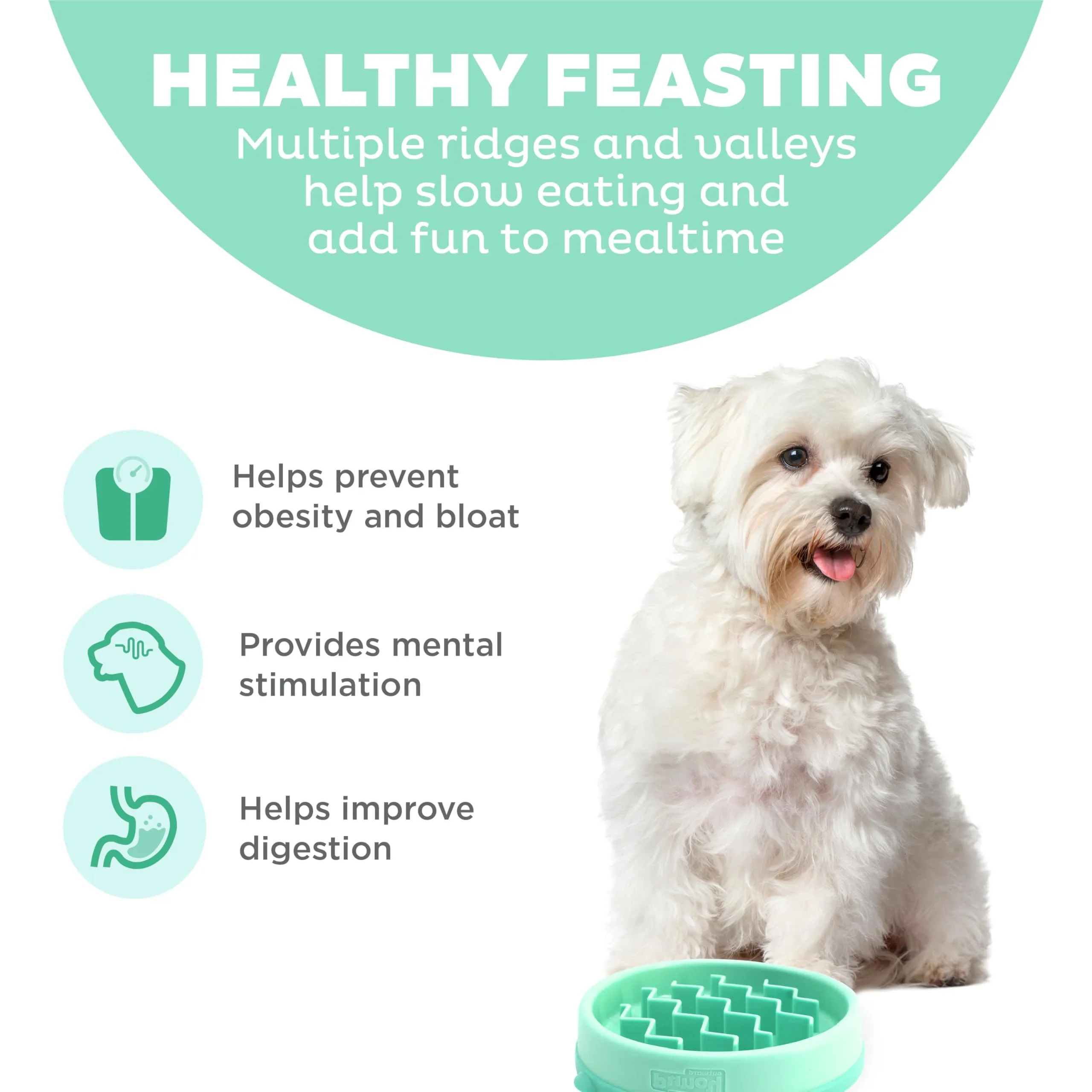 Outward Hound Fun Feeder Slo-Bowl Ciotola Anti-ingozzamento per Cani, Piccola, Menta, 14,61 x 14,61 x 2,54 cm - immagine 2
