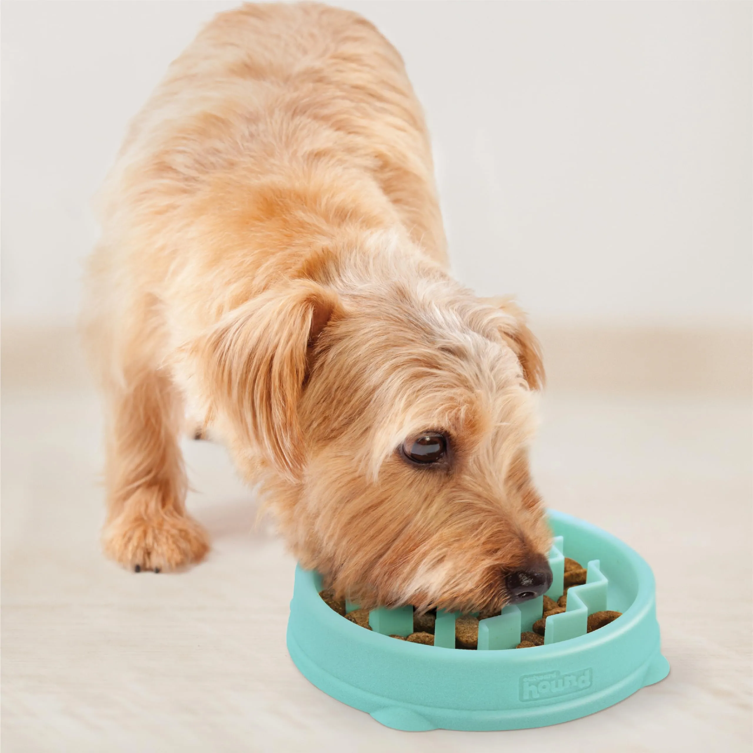 Outward Hound Fun Feeder Slo-Bowl Ciotola Anti-ingozzamento per Cani, Piccola, Menta, 14,61 x 14,61 x 2,54 cm - immagine 6