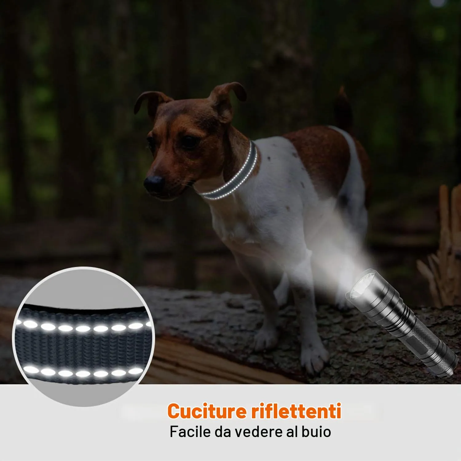 Taglory Collare per Cani in Nylon Imbottito, Regolabile, Riflettente, Taglia Piccola, Grigio - immagine 5