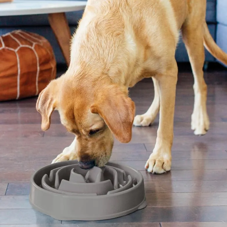 Outward Hound Fun Feeder Slo-Bowl Ciotola anti-ingozzamento per cani, Grande, Grigio - immagine 6