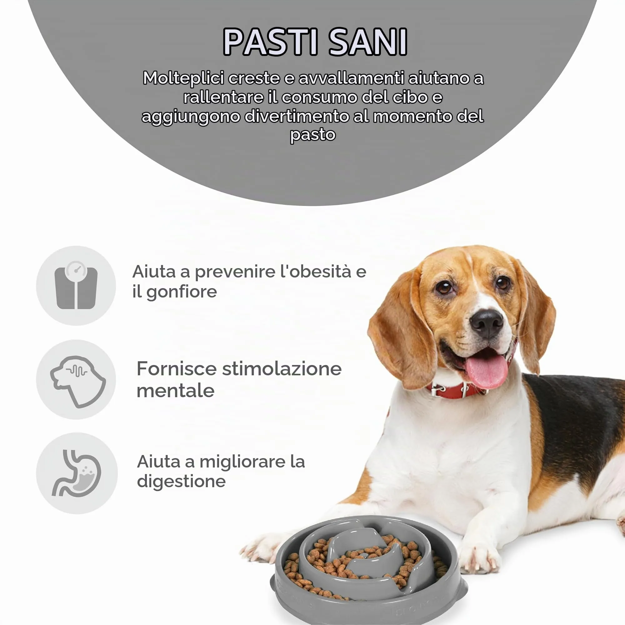 Outward Hound Fun Feeder Slo-Bowl Ciotola anti-ingozzamento per cani, medio, grigio - immagine 2