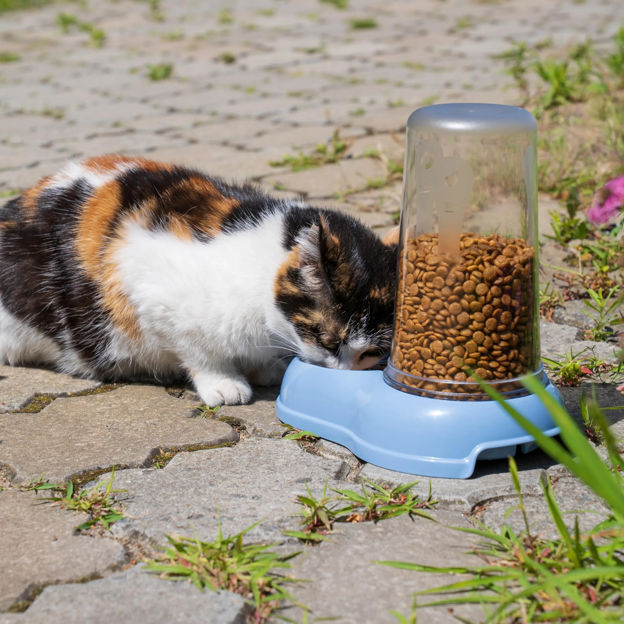 Ferplast Azimut 1500 Distributore di cibo o acqua per cani e gatti, 1,5 L, Bianco - immagine 7