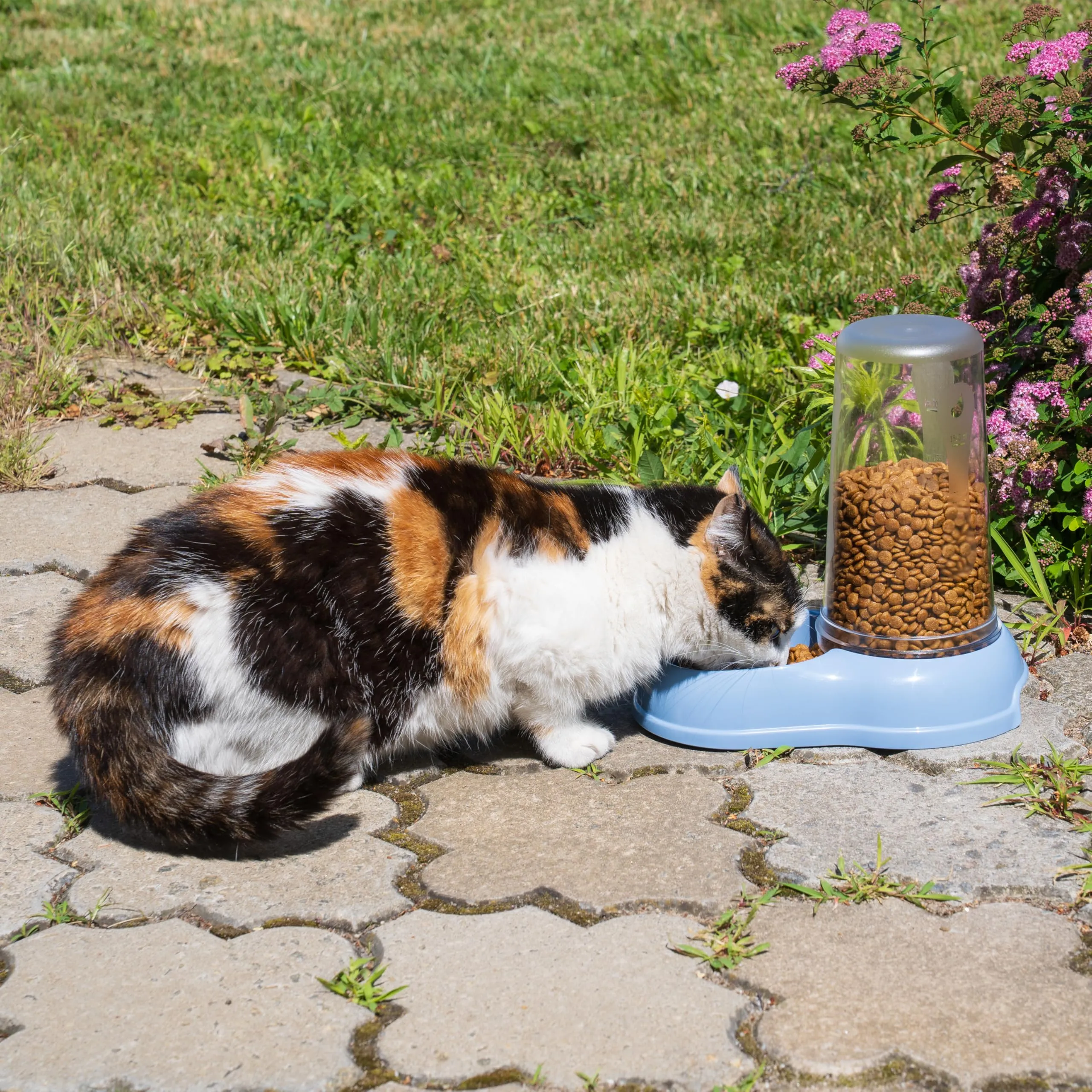 Ferplast Azimut 1500 Distributore Cibo o Acqua per Cani e Gatti, 1,5 Litri, Blu - immagine 5