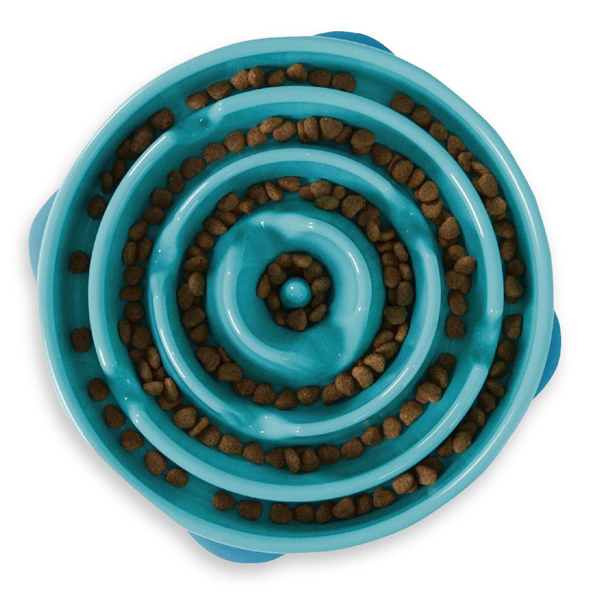 Outward Hound Fun Feeder Slo-Bowl Ciotola Anti-ingozzamento per Cani, Grande, Turchese - immagine 1