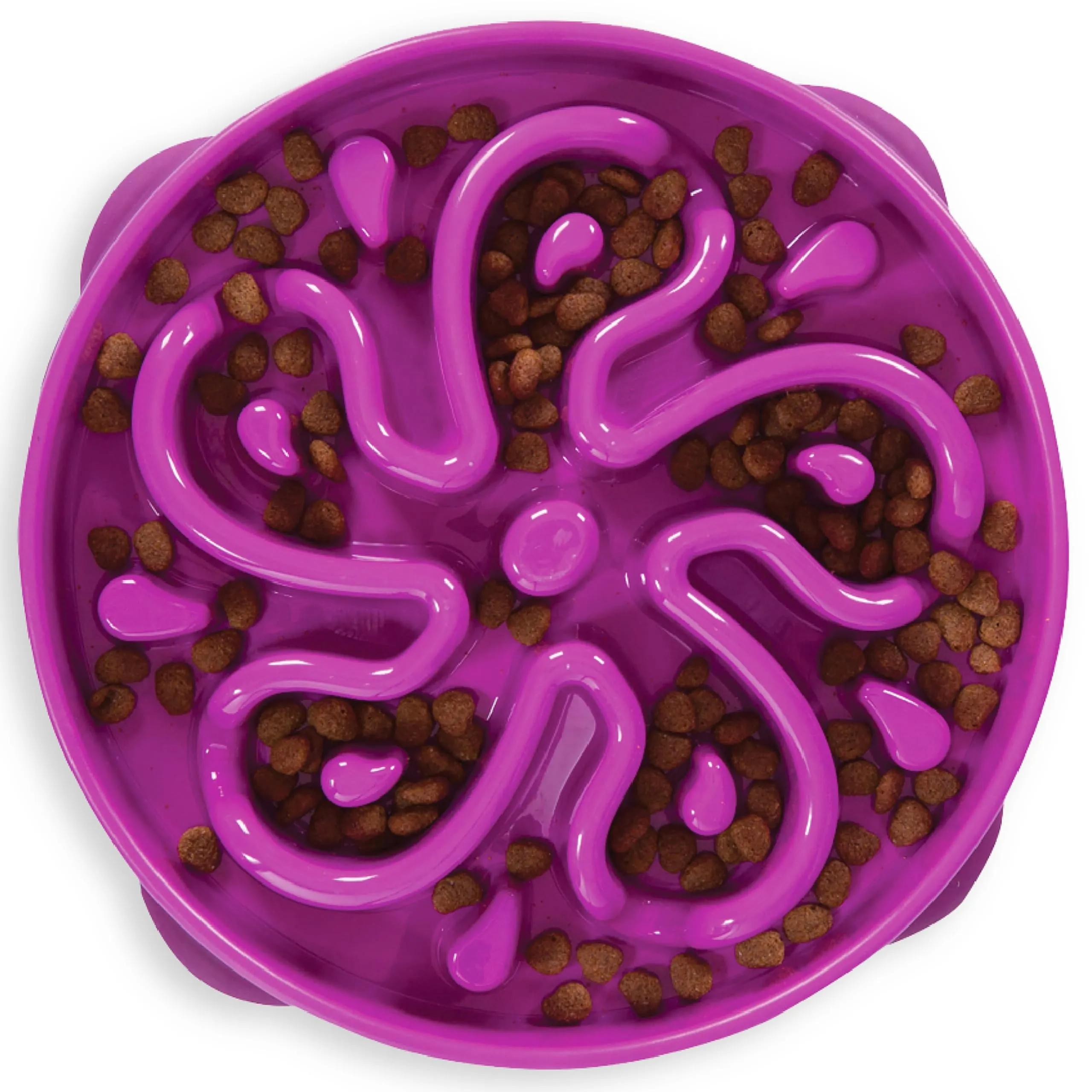 Outward Hound Fun Feeder Slo-Bowl Ciotola Anti-ingozzamento per Cani, Grande, Viola - immagine 1