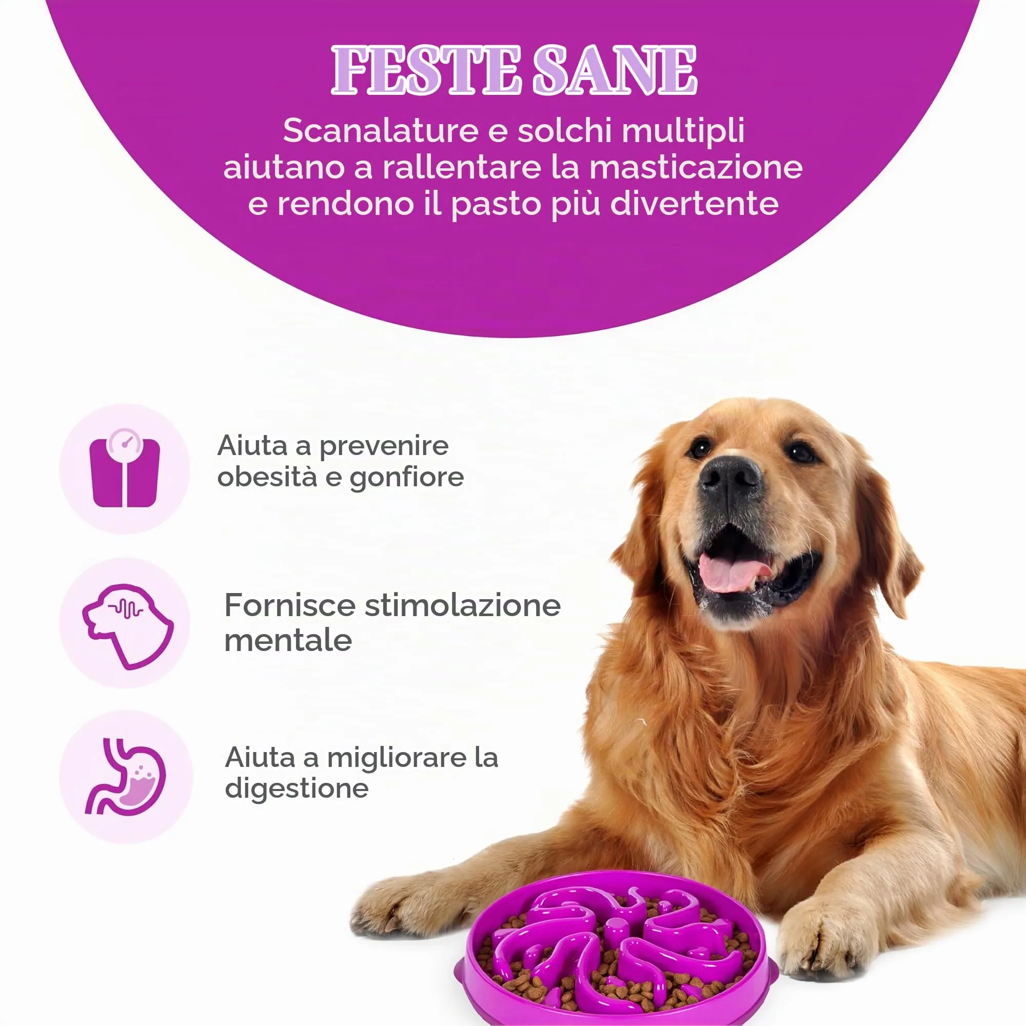 Outward Hound Fun Feeder Slo-Bowl Ciotola Anti-ingozzamento per Cani, Grande, Viola - immagine 2