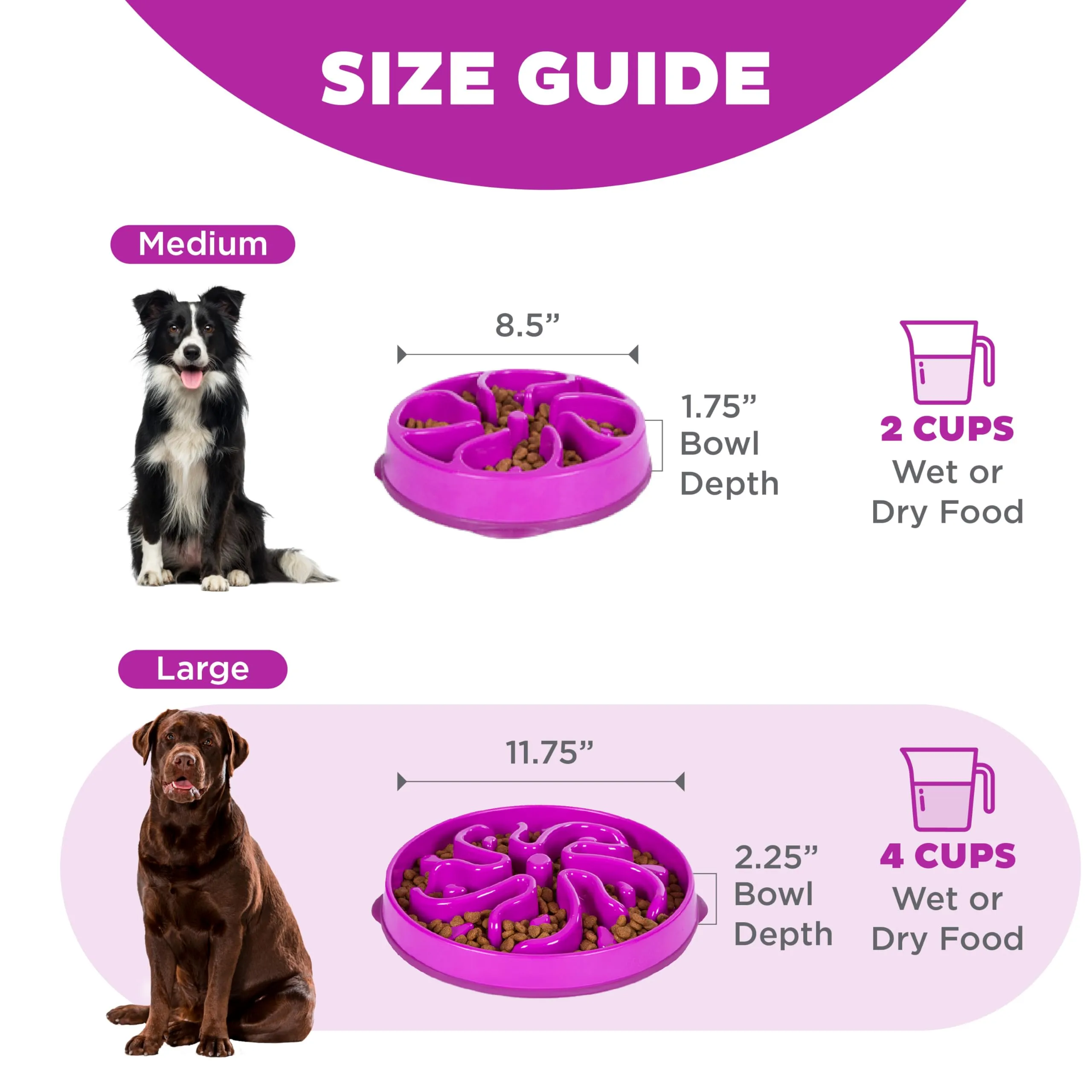 Outward Hound Fun Feeder Slo-Bowl Ciotola Anti-ingozzamento per Cani, Grande, Viola - immagine 5