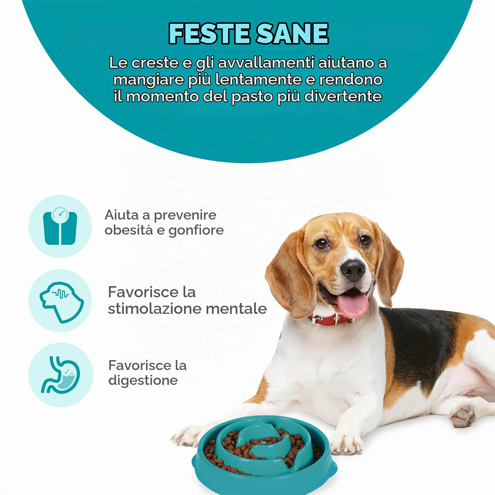 Outward Hound Fun Feeder Slo-Bowl Ciotola Anti-ingozzamento per Cani, Medio, Turchese - immagine 2
