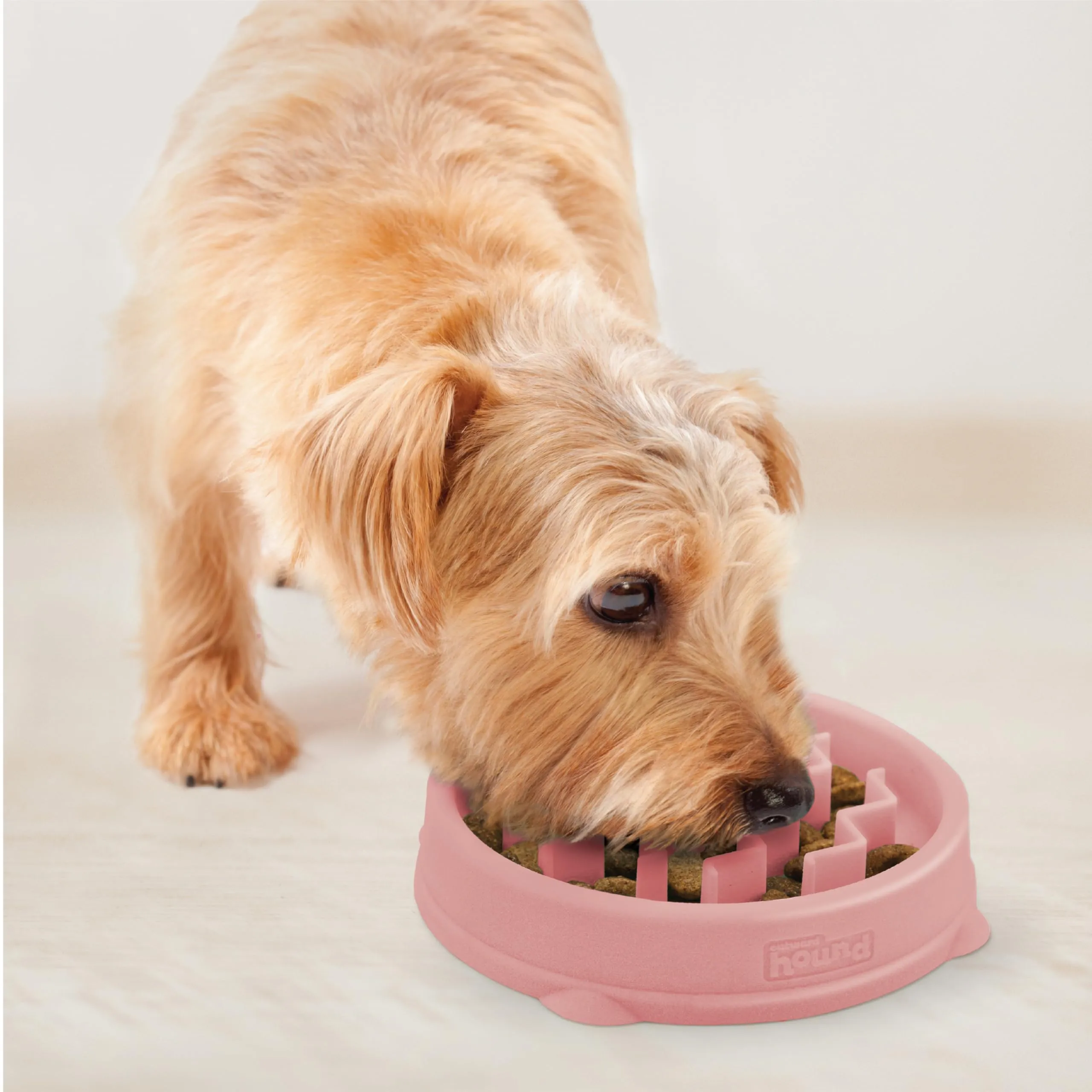 Outward Hound Fun Feeder Slo-Bowl Ciotola anti-ingozzamento per cani, Piccola, Rosa - immagine 6