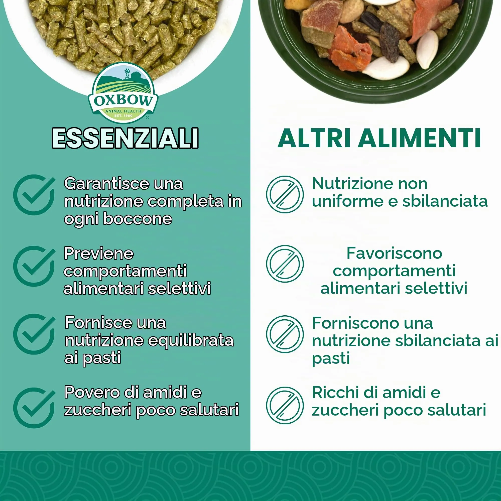 Oxbow Mangime per cavia Adulta, 4.53 kg - immagine 3