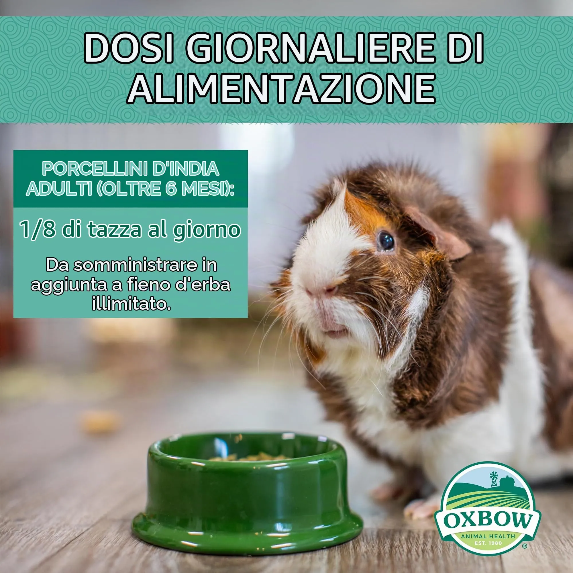 Oxbow Mangime per cavia Adulta, 4.53 kg - immagine 4