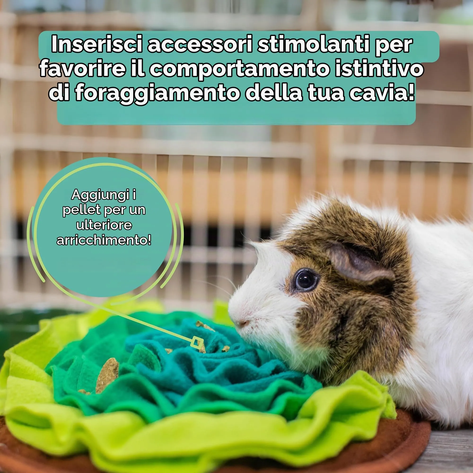 Oxbow Mangime per cavia Adulta, 4.53 kg - immagine 10