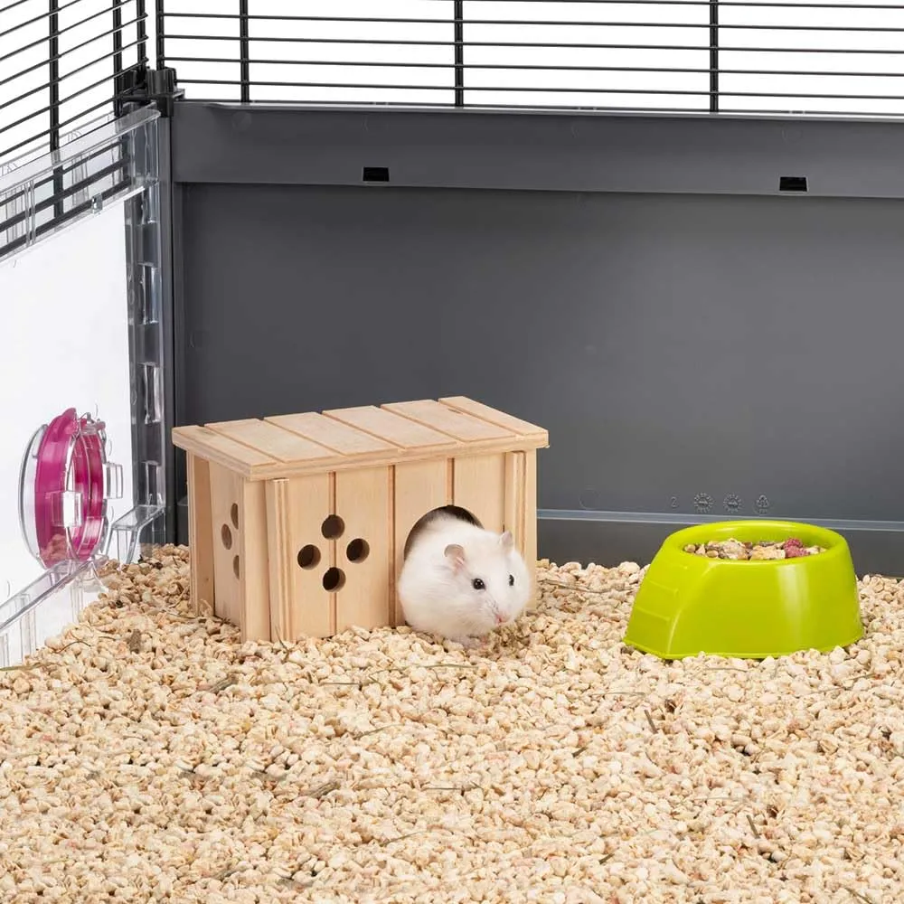 Ferplast Casetta per Criceti, Gerbilli e Topolini SIN 4641, Legno FSC, 12,5 x 7,5 x 7 cm, Taglia XS - immagine 2