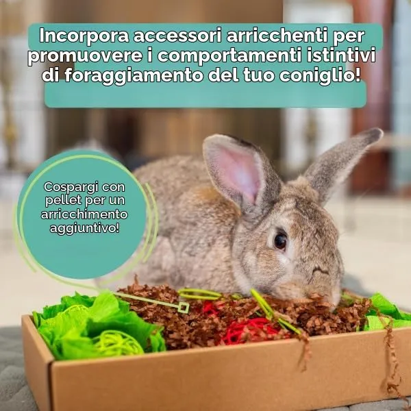 Oxbow Essentials Cibo per Conigli Adulti - 5 kg - immagine 8