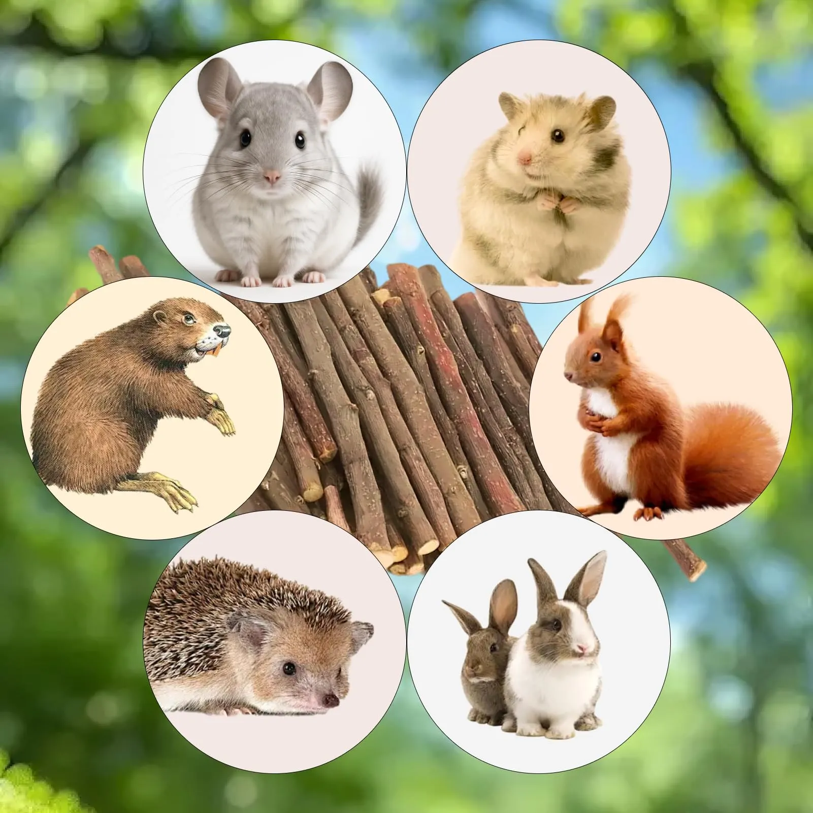 Flewdart Bastoncini di Melo Naturali per Roditori, 1000g - immagine 6