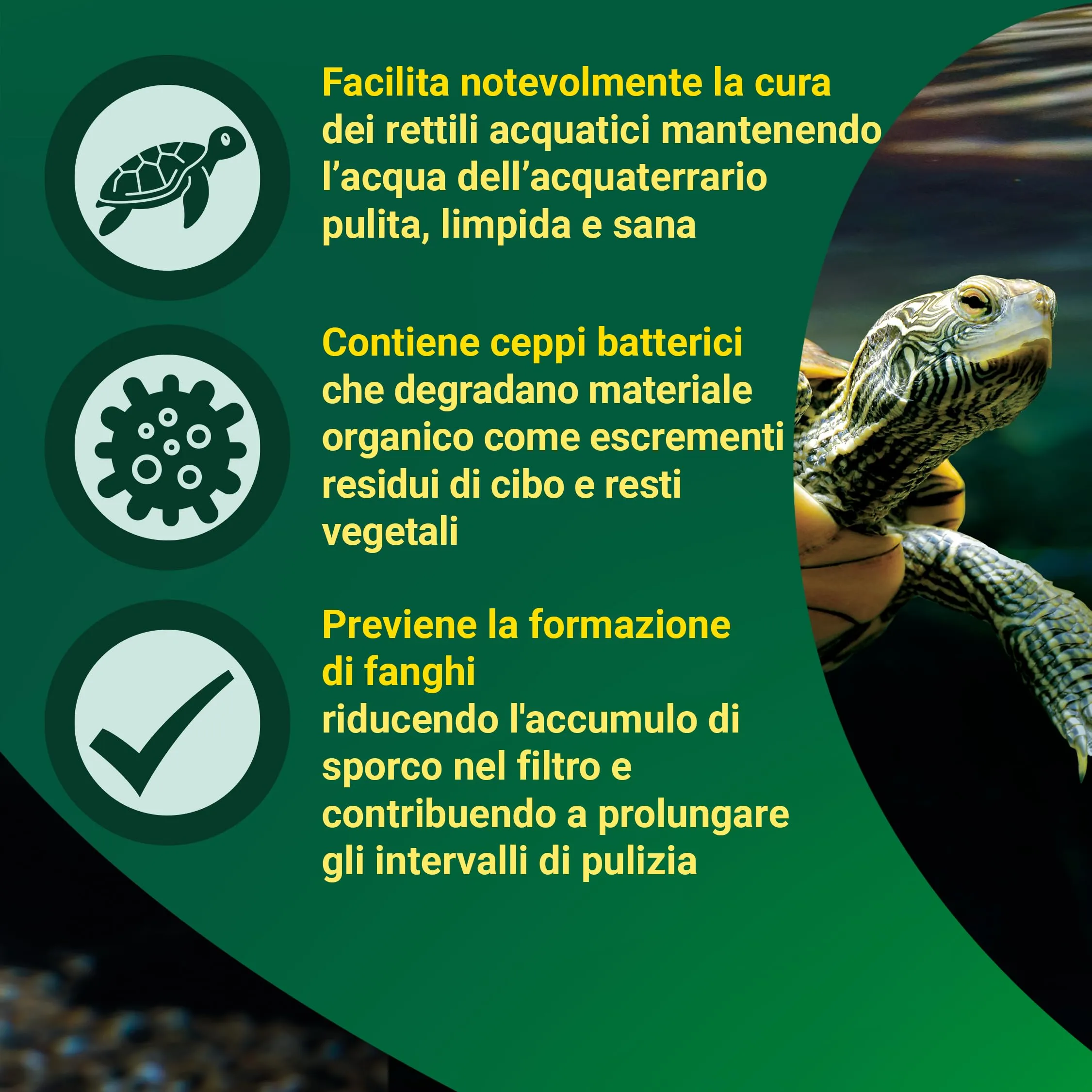 Tetra ReptoClean Biocondizionatore per Tartarughe, 100 ml - immagine 5