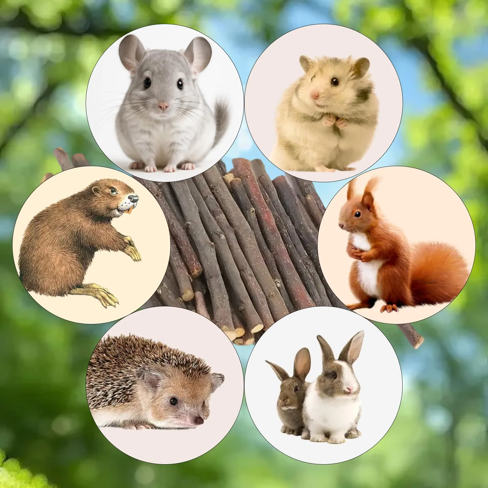 Flewdart Bastoncini di Melo Naturale per Criceti, Porcellini d'India e Cincillà, 100g - immagine 6