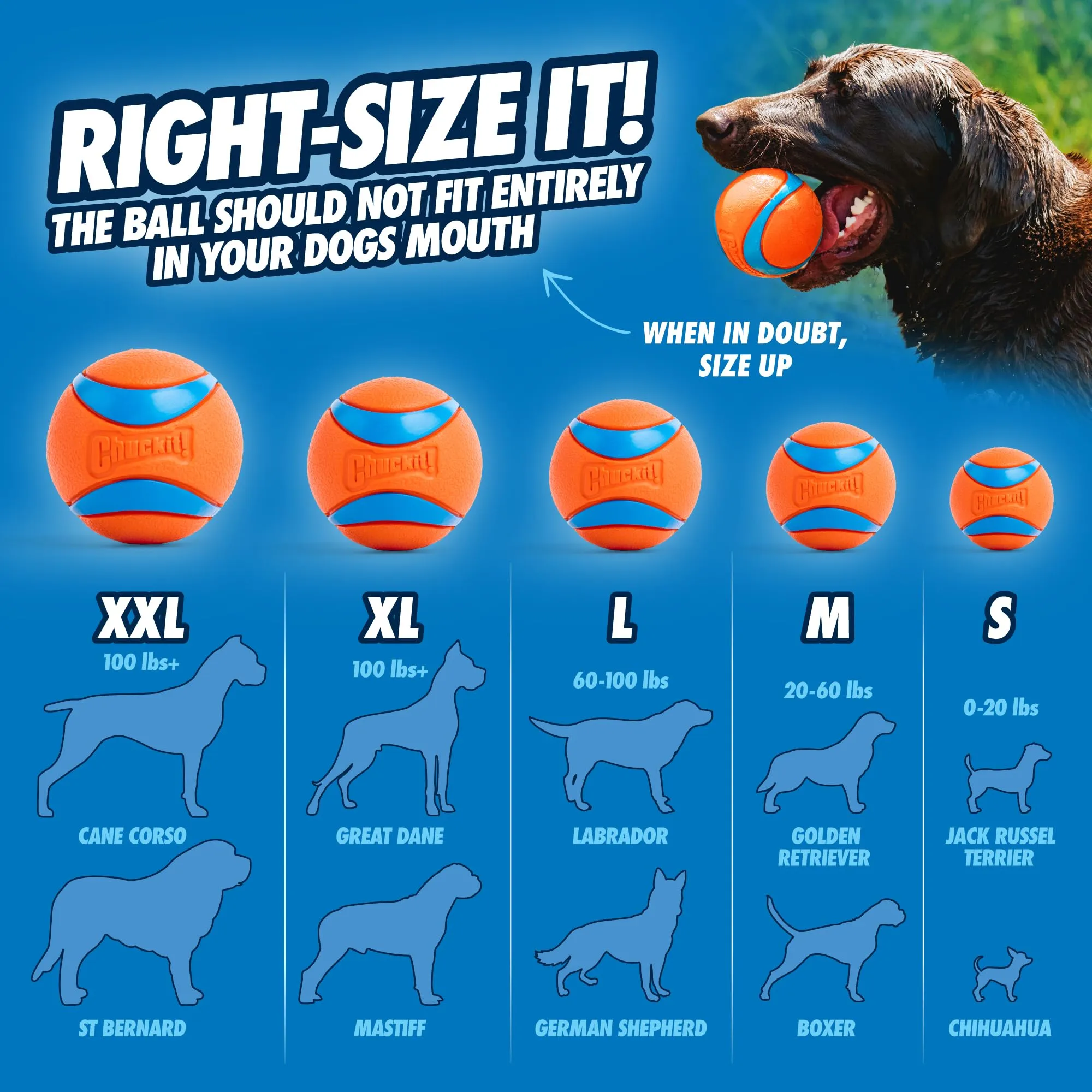 Chuckit Cane Ultra Ball, M - immagine 4