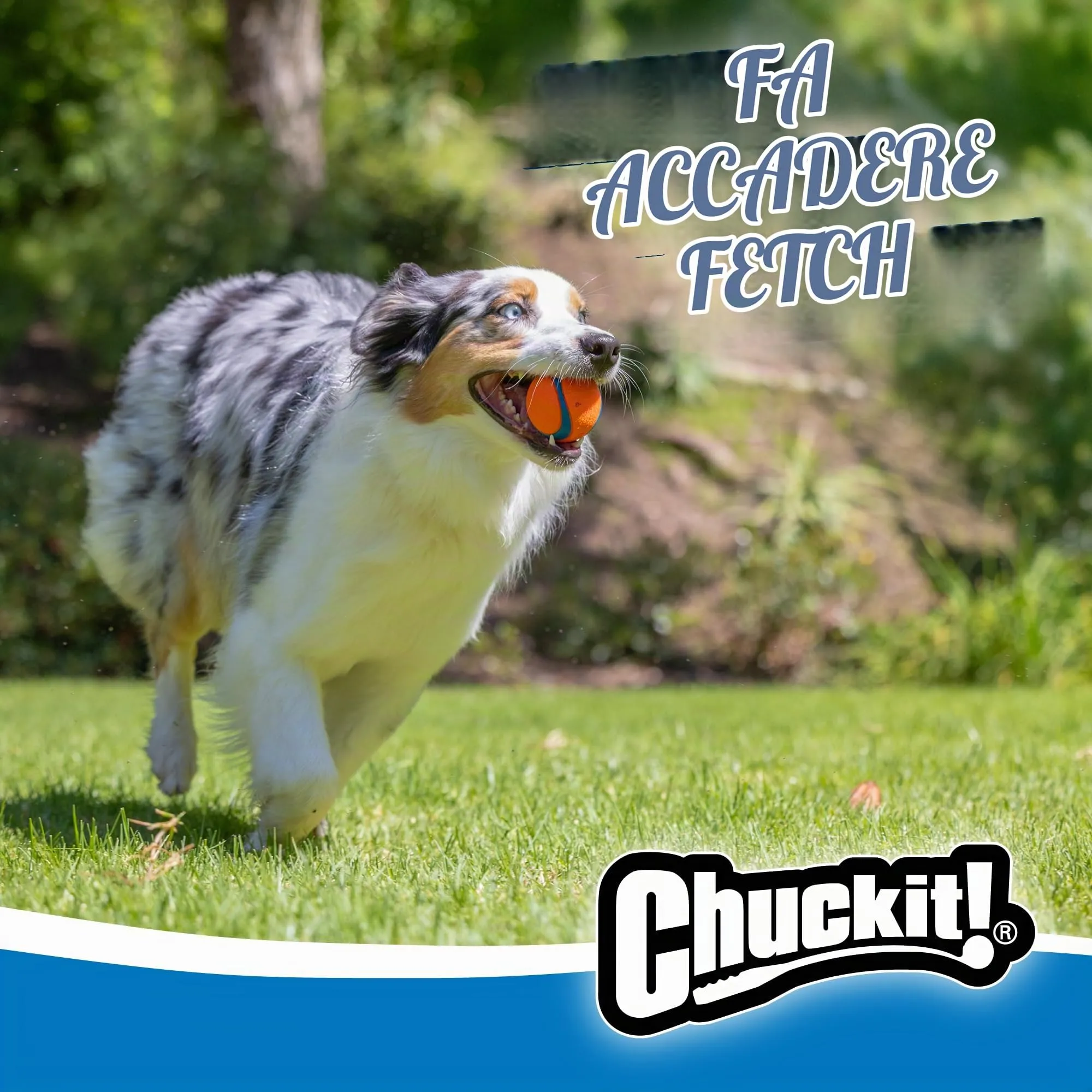 Chuckit Cane Ultra Ball, M - immagine 6