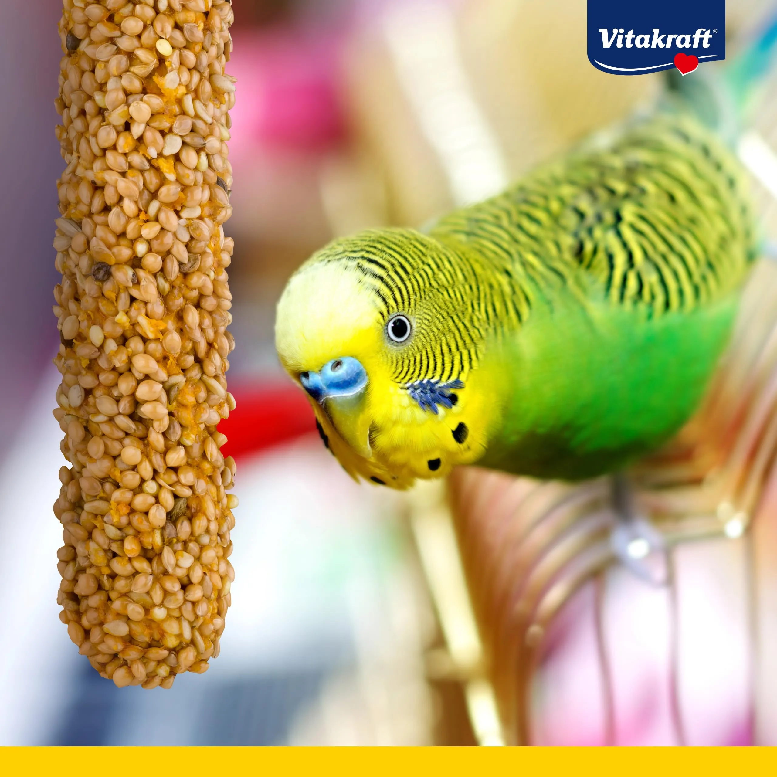 Vitakraft Kräcker Mix per Pappagallini Ondulati, Bastoncini da Masticare con Erbe Aromatiche, Peperone, Kiwi, Limone, Banana e Sesamo, Senza Zuccheri Aggiunti, 90g - immagine 6