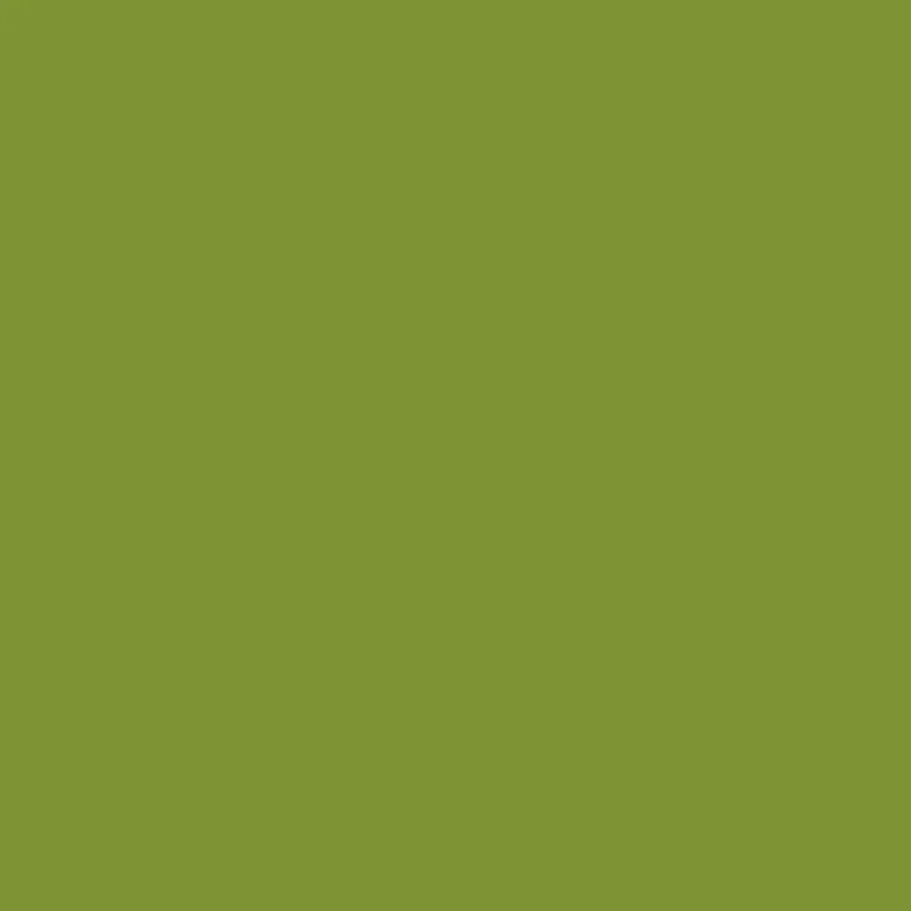 Vallejo 70.827 Model Color Acrylic Paint, Limegreen, 17 ml - immagine 2