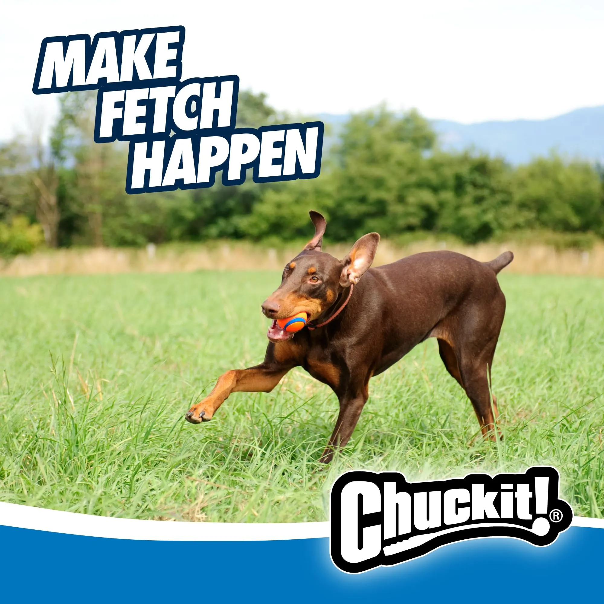 Chuckit! Cane Ultra Ball, L - immagine 6