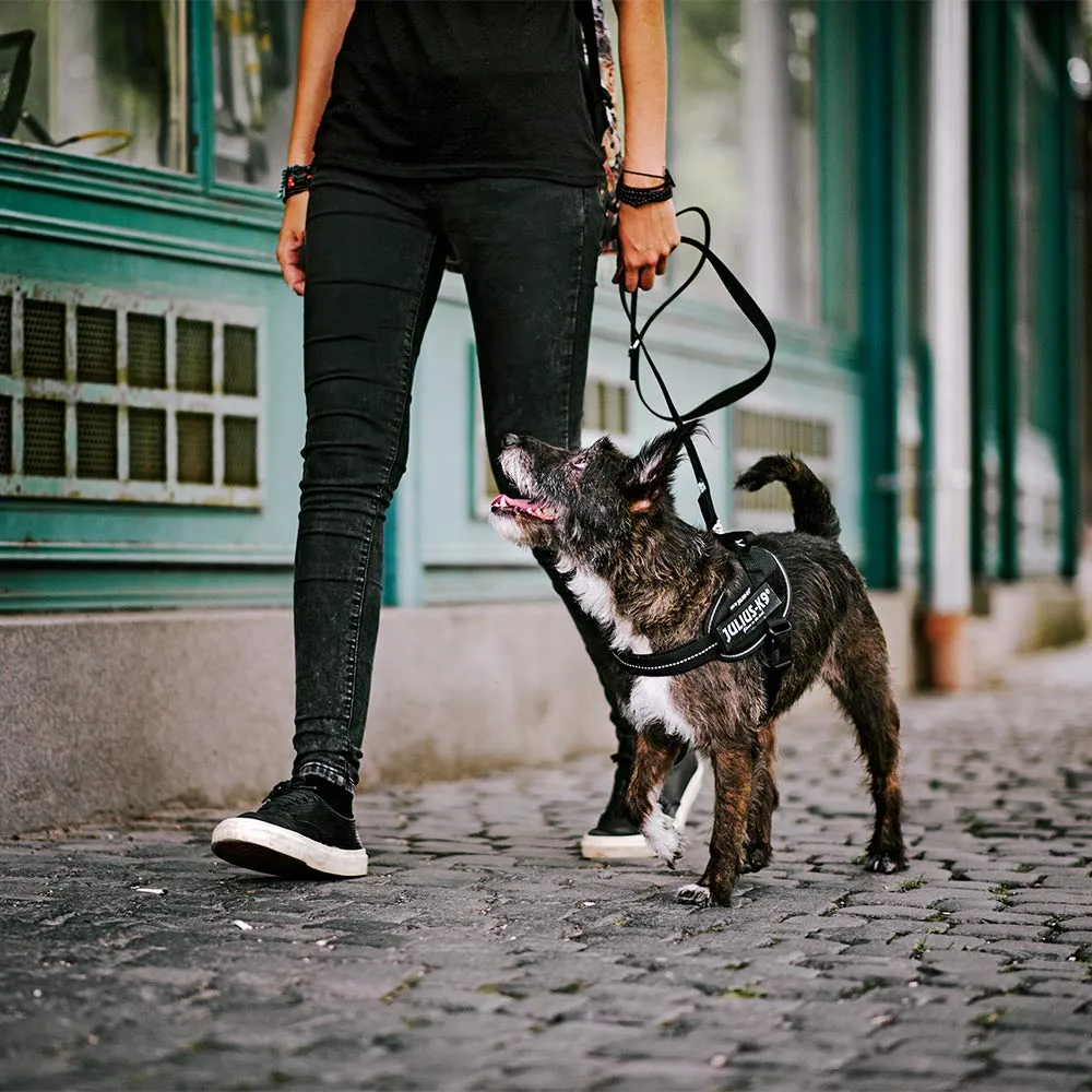 Julius-K9 Pettorina IDC Power, L/1, Nero - immagine 6