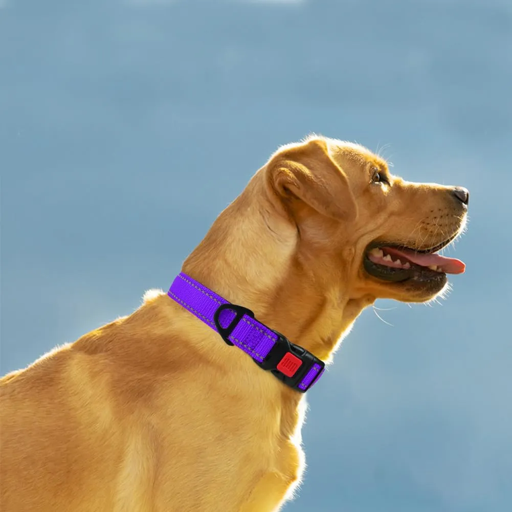 Taglory Collare per Cani in Nylon Imbottito, Regolabile, Traspirante e Riflettente, Taglia L, Viola - immagine 2
