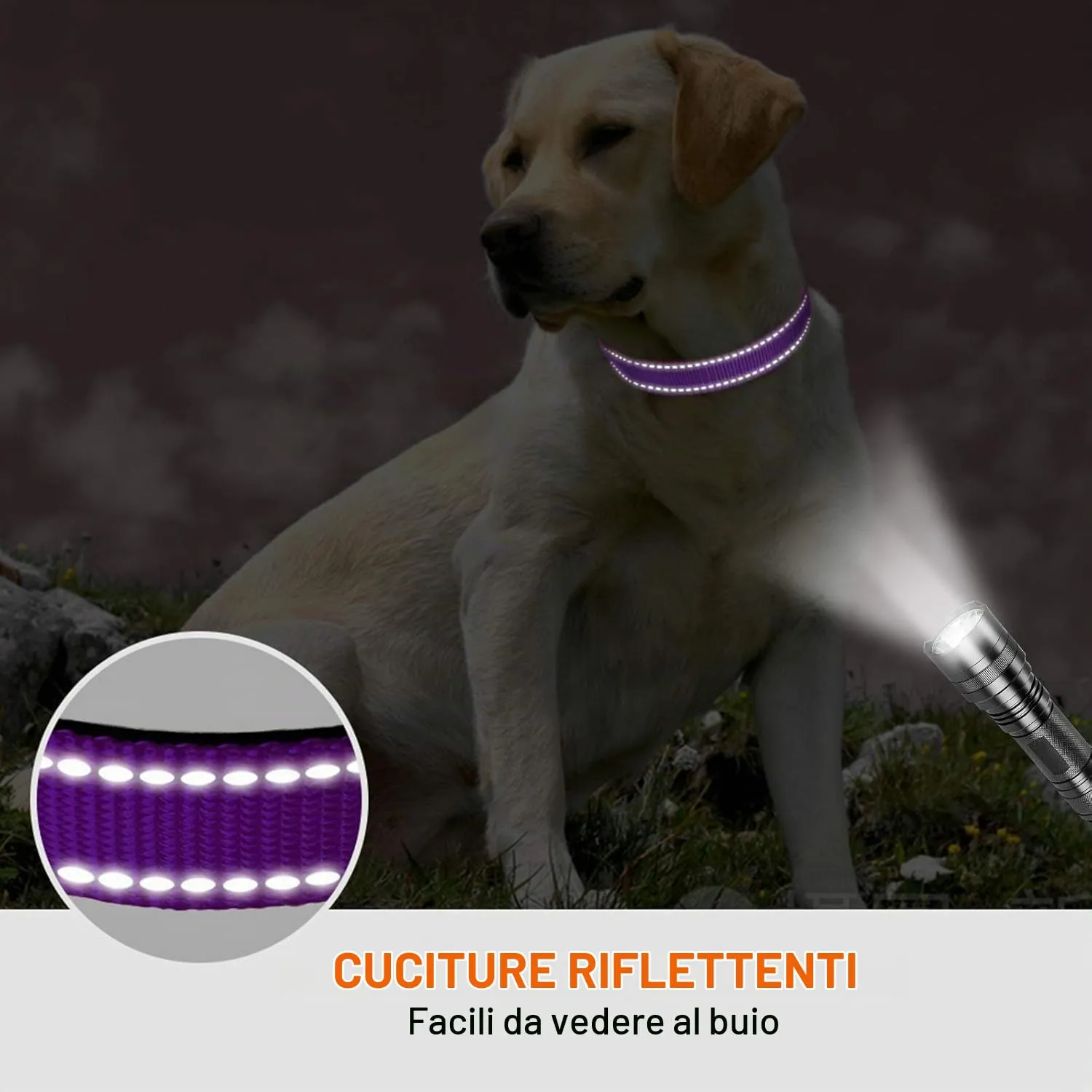Taglory Collare per Cani in Nylon Imbottito, Regolabile, Traspirante e Riflettente, Taglia L, Viola - immagine 5