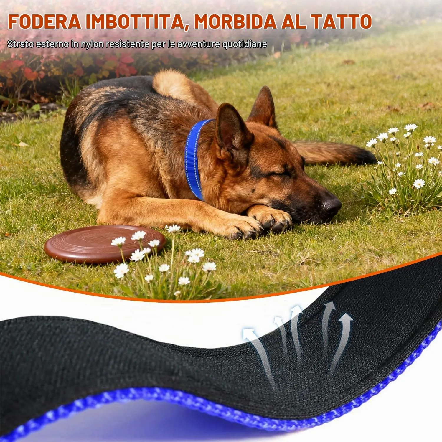 Taglory Collare per Cani in Nylon Imbottito, Regolabile e Riflettente, Taglia L, Blu Scuro - immagine 4