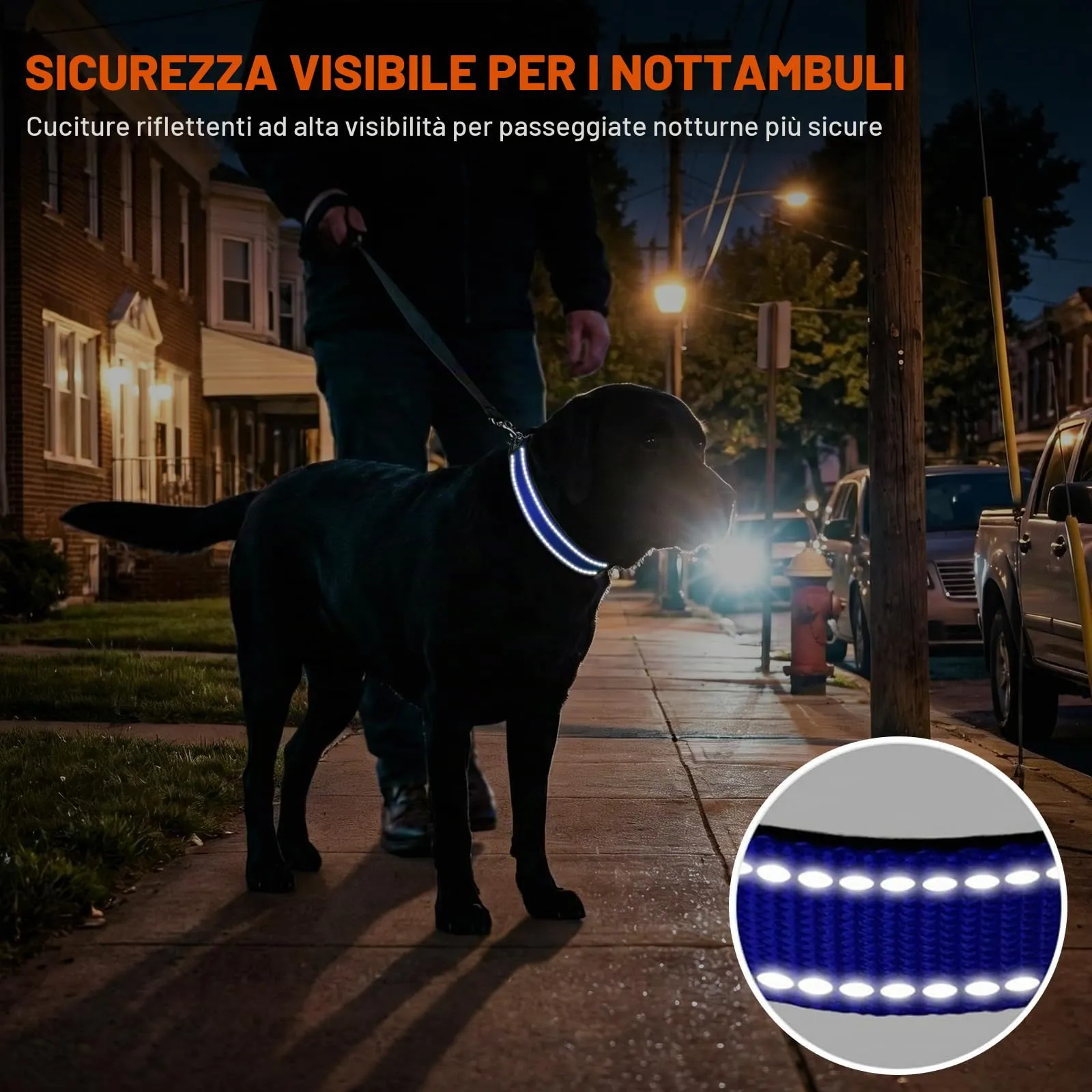 Taglory Collare per Cani in Nylon Imbottito, Regolabile e Riflettente, Taglia L, Blu Scuro - immagine 5