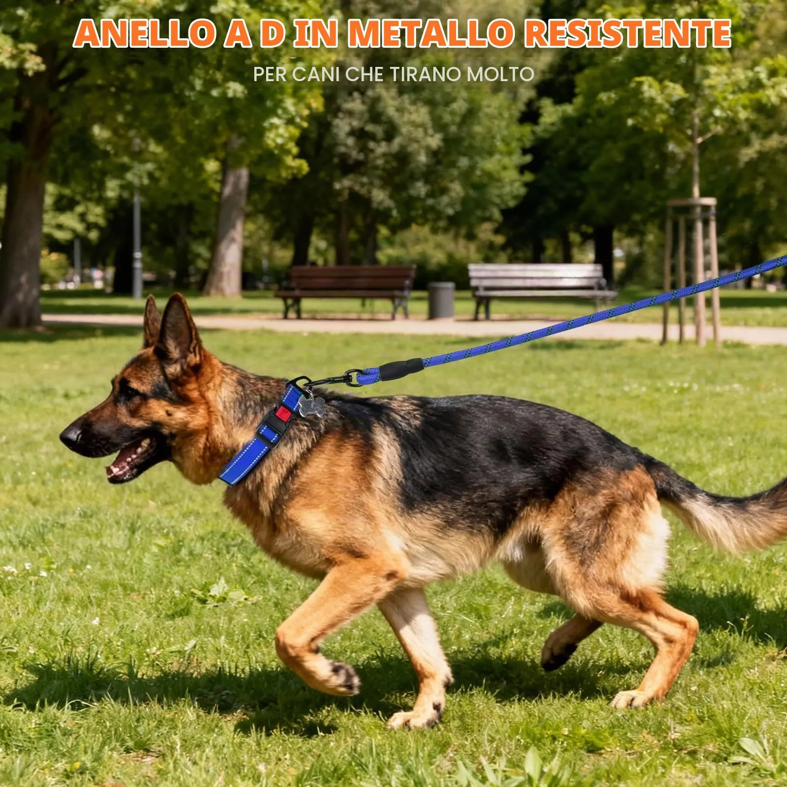 Taglory Collare per Cani in Nylon Imbottito, Regolabile e Riflettente, Taglia L, Blu Scuro - immagine 6