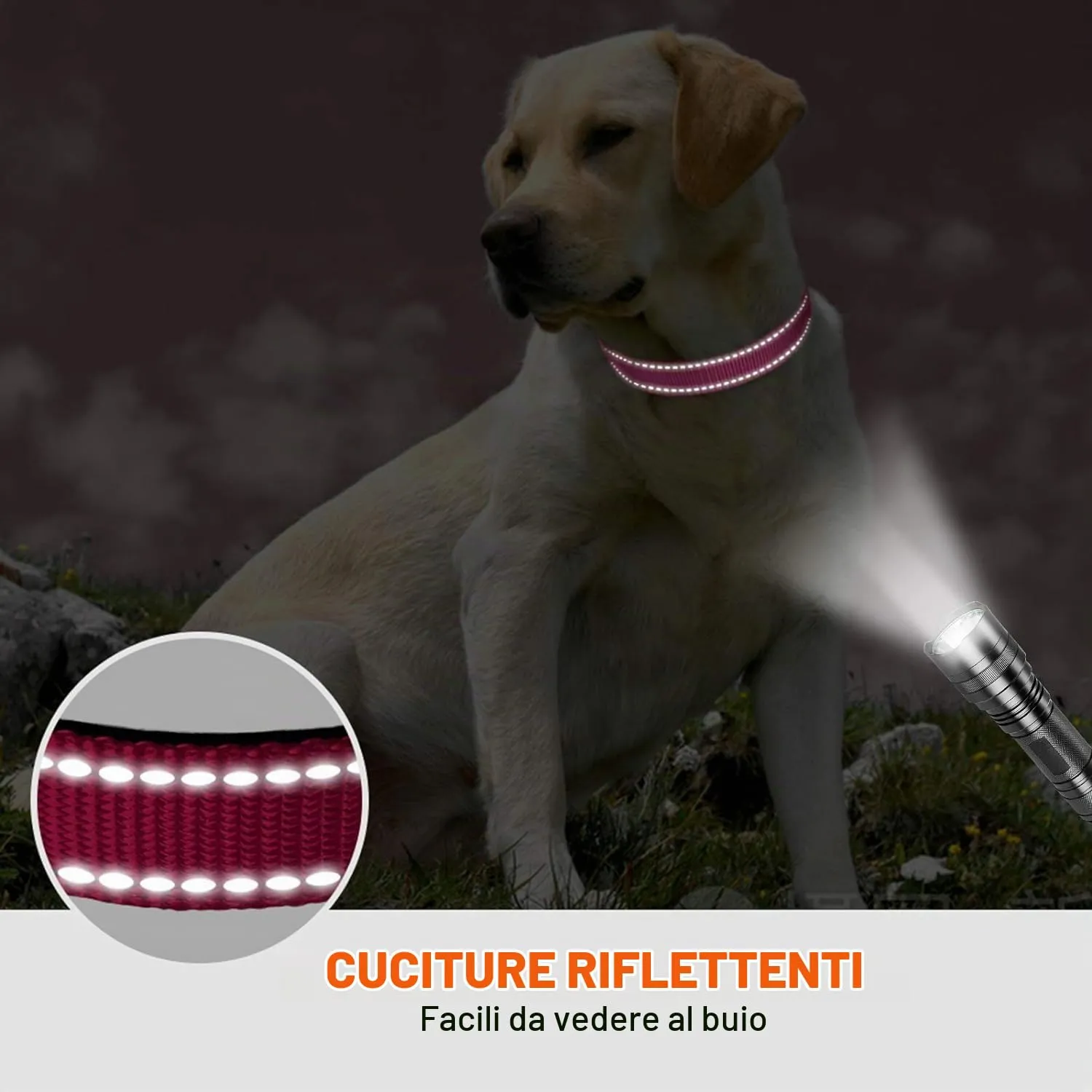 Taglory Collare per Cani in Nylon Imbottito Riflettente, Taglia L, Rosa Caldo - immagine 5