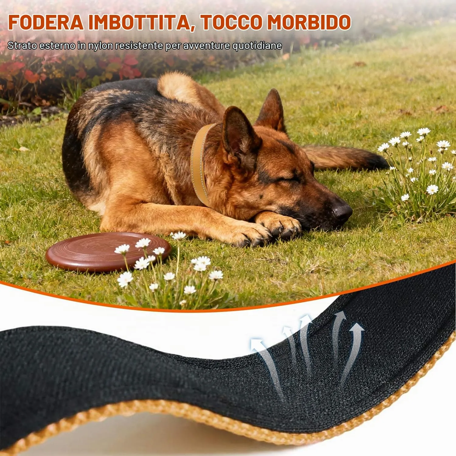 Taglory Collare per Cani in Nylon Imbottito, Riflettente e Regolabile, Taglia L, Marrone - immagine 4
