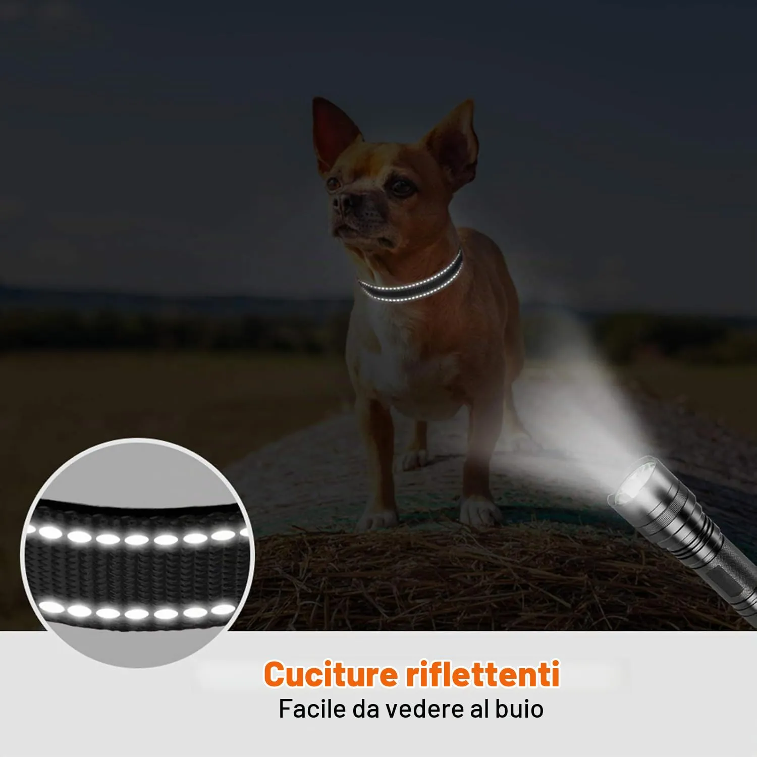 Taglory Collare per Cani in Nylon Imbottito Riflettente, Nero, XS - immagine 5