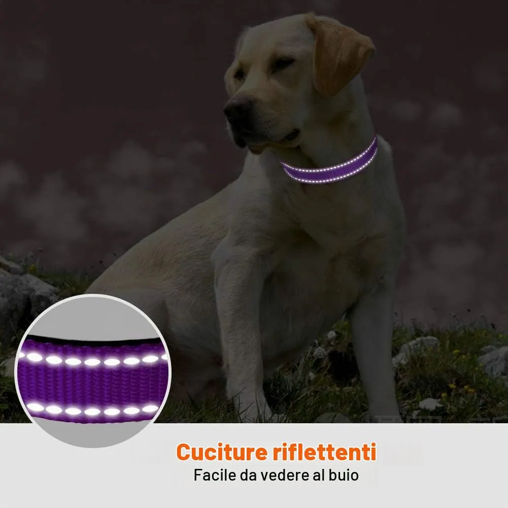 Taglory Collare per Cani in Nylon Imbottito, Regolabile e Riflettente, Taglia S, Viola - immagine 5