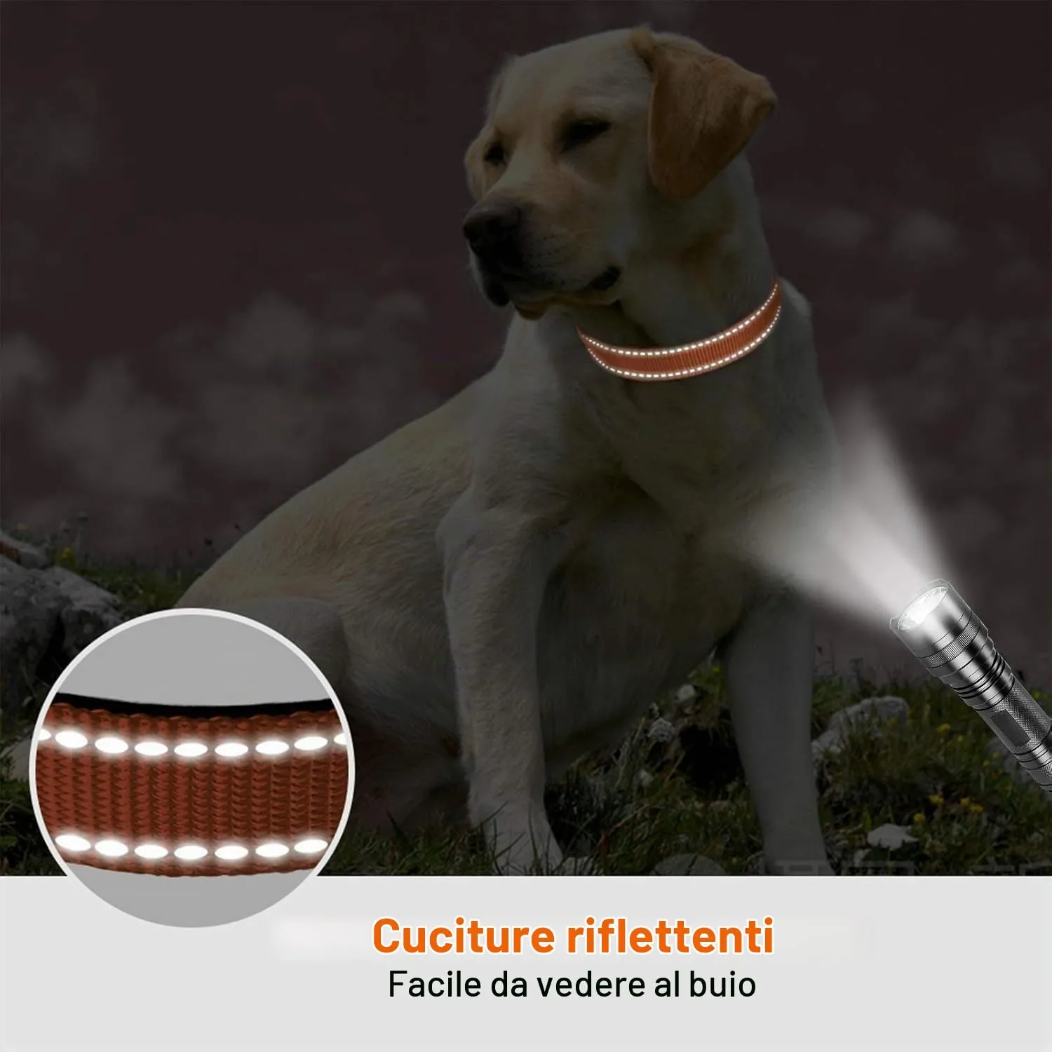 Taglory Collare per Cani in Nylon Imbottito, Riflettente e Regolabile, Taglia M, Arancione - immagine 5