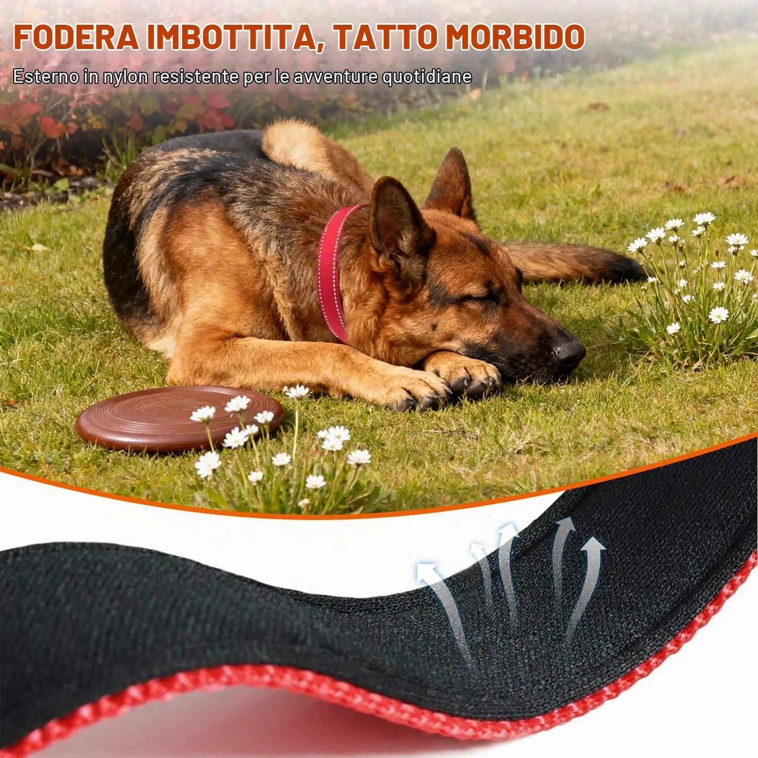Taglory Collare per Cani in Nylon Imbottito, Regolabile e Riflettente, Taglia L, Rosso - immagine 4